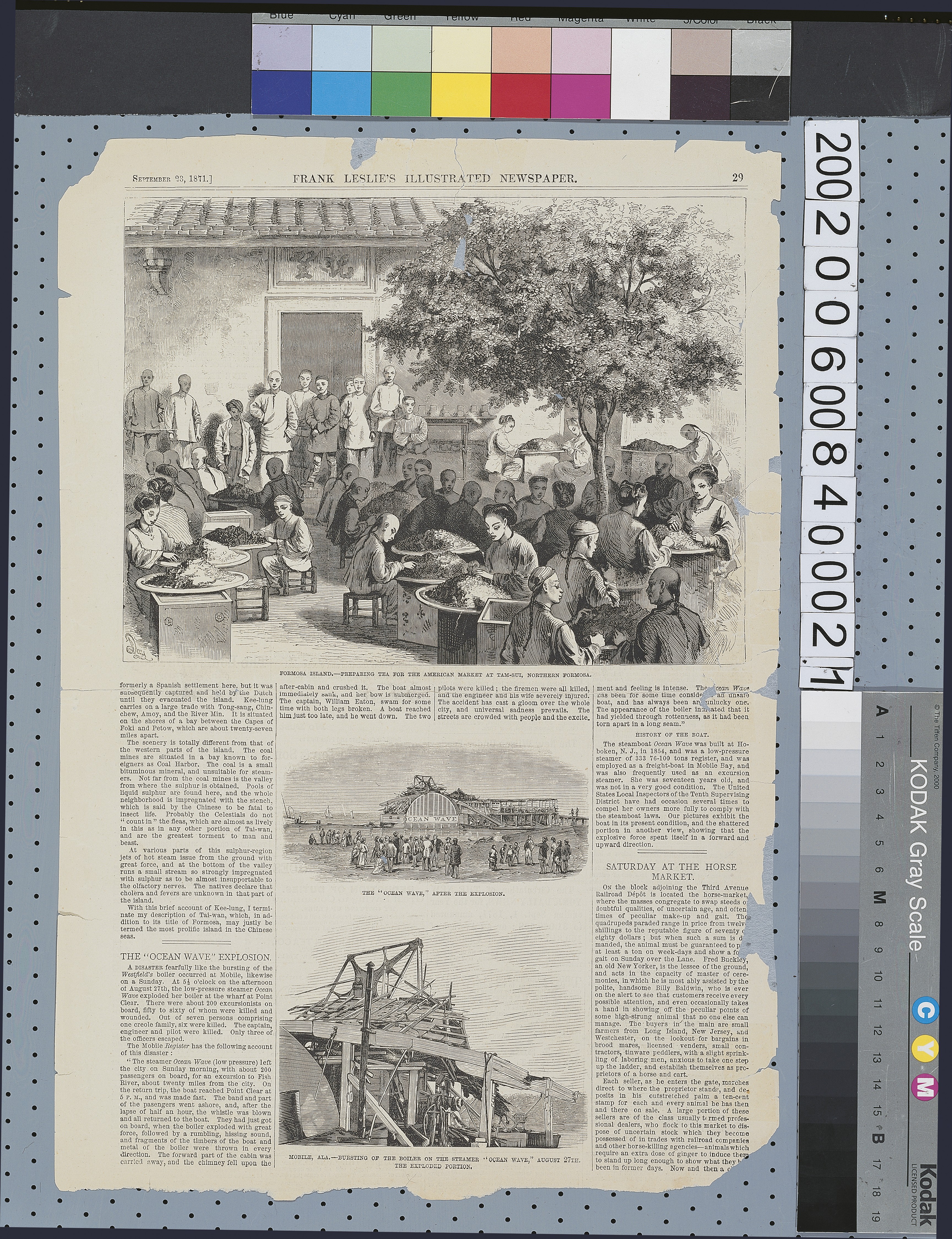 1871年9月23日《弗蘭克．萊斯利新聞畫報》之〈淡水女工揀選茶葉圖〉 (共3張)