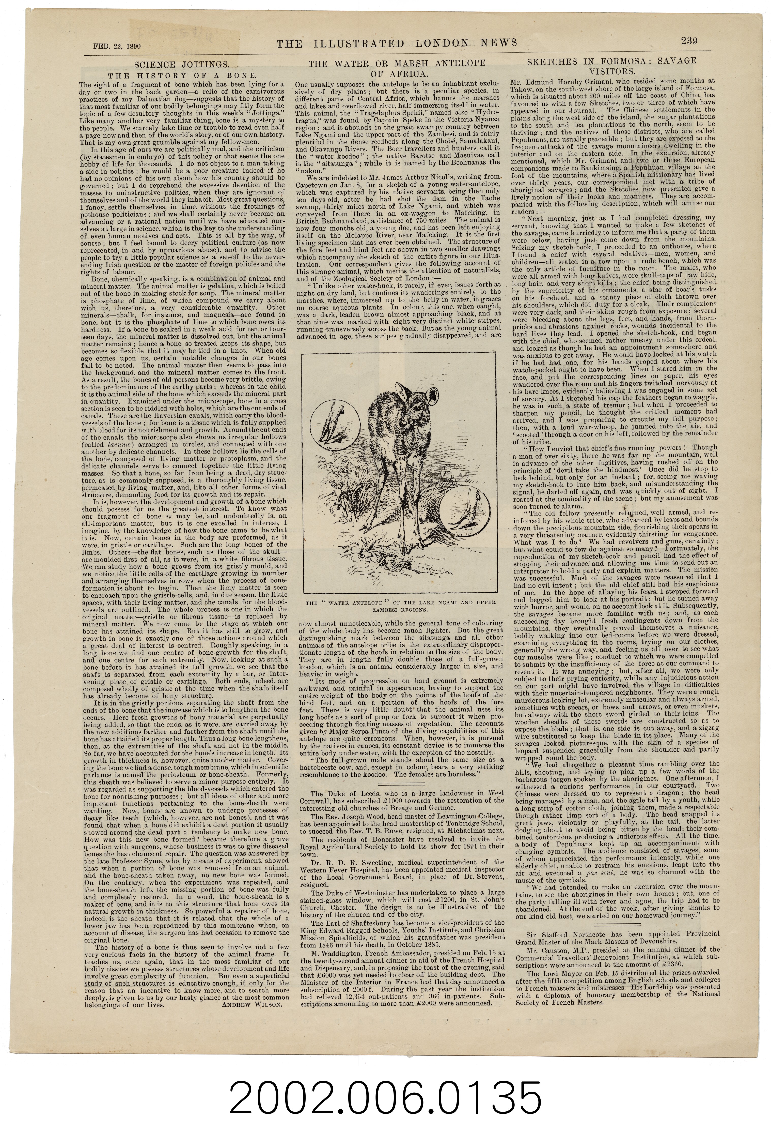 1890年2月22日《倫敦新聞畫報》之〈速寫福爾摩沙 2〉 (共5張)