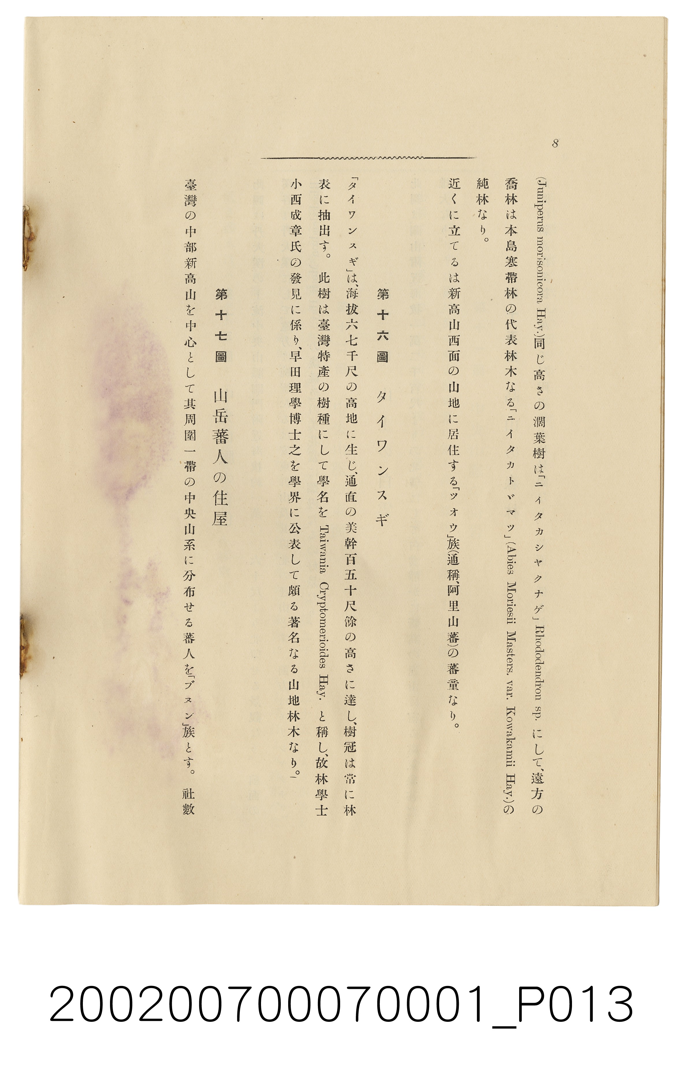 森丑之助與中井宗三《臺灣山岳景觀解說》 (共31張)
