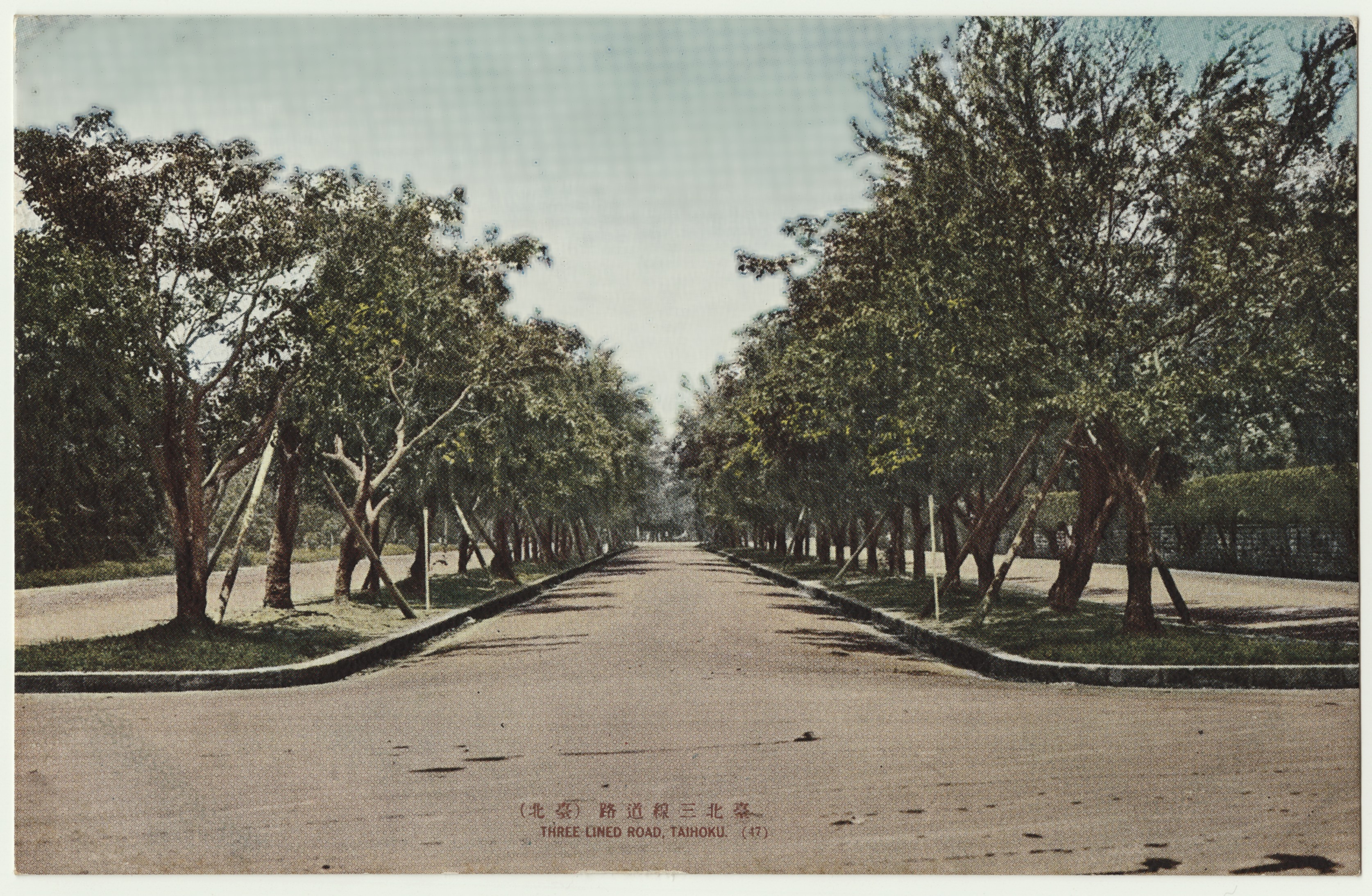 臺北州新高堂發行臺北三線道路臺北 (共4張)