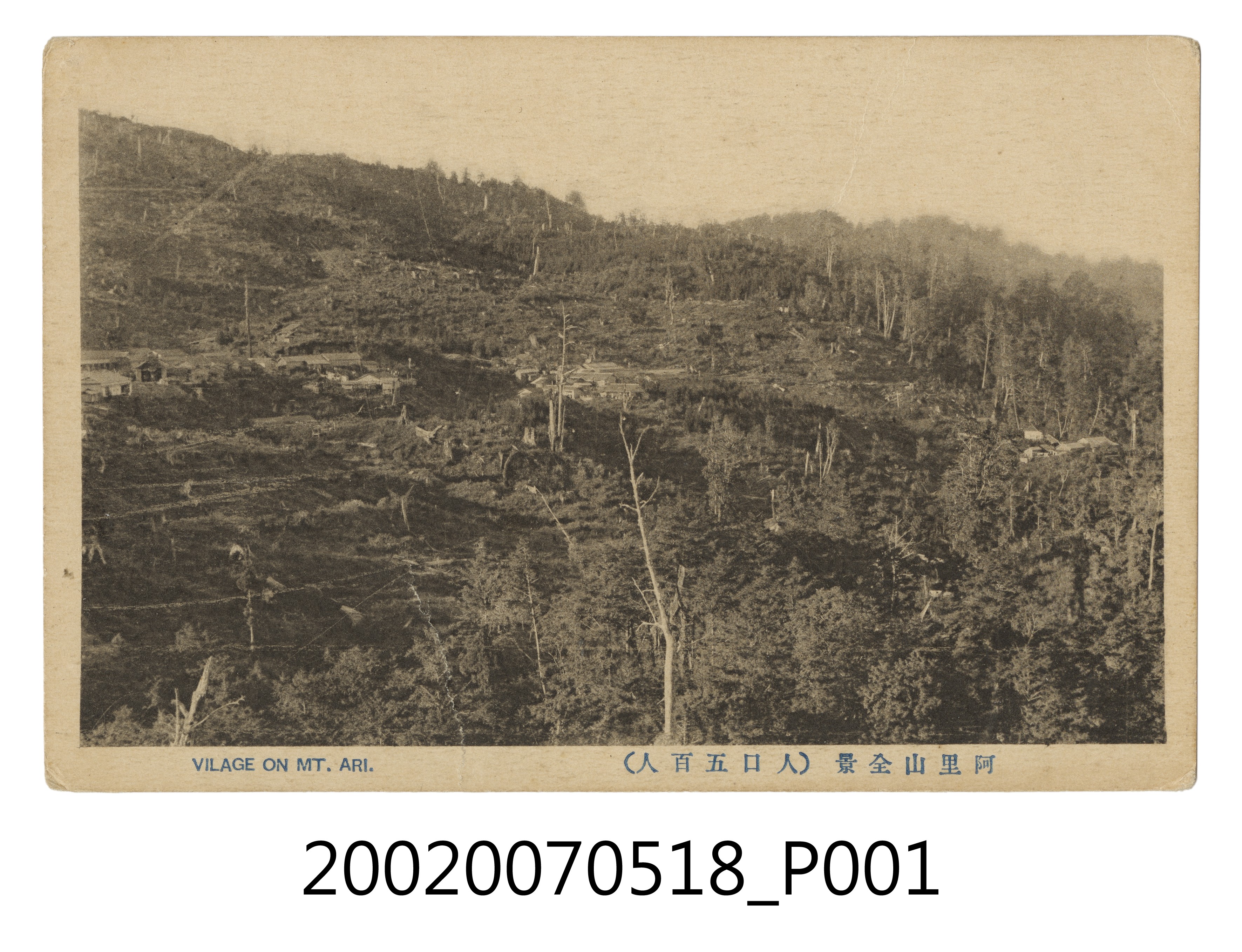 阿里山全景 (共4張)