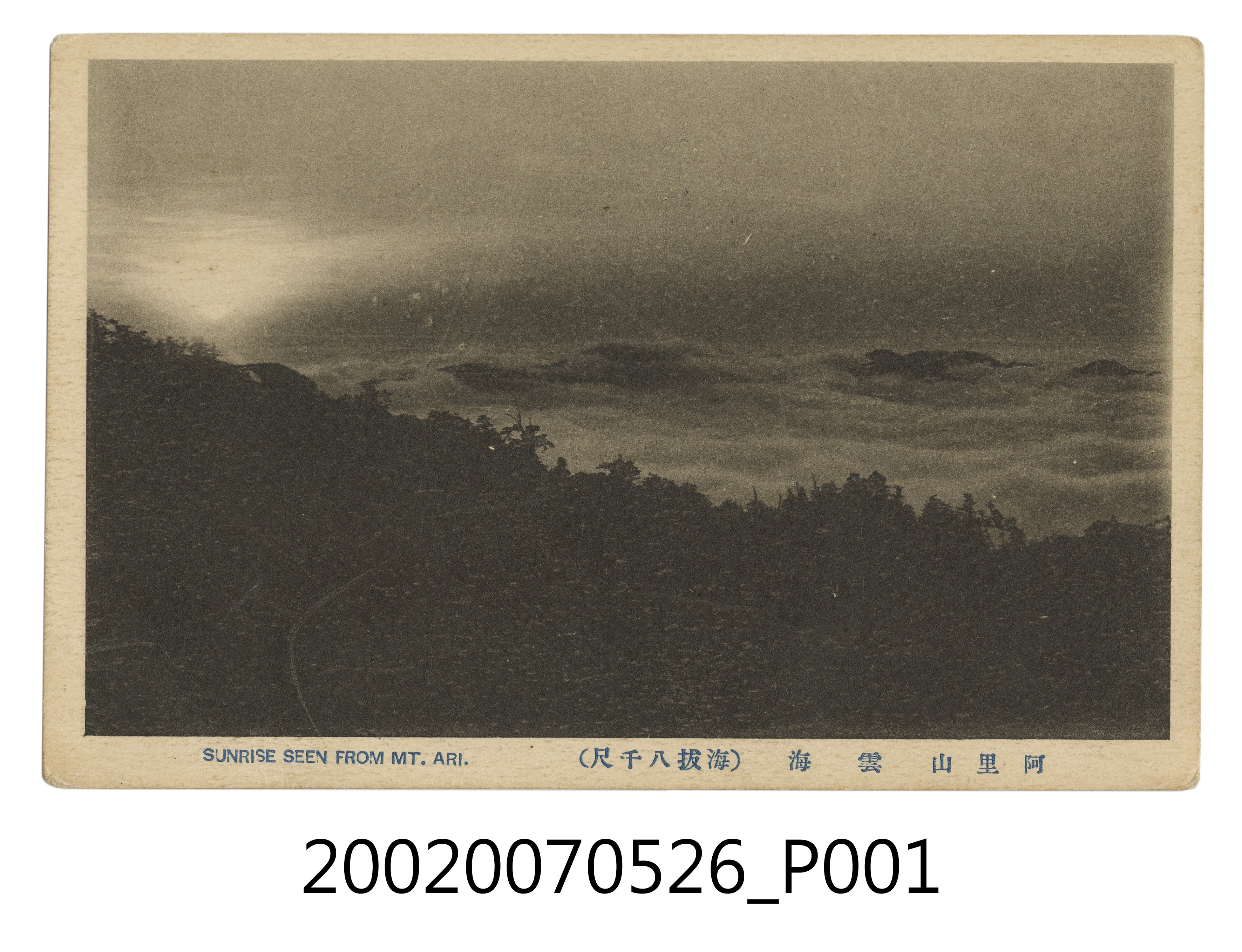 阿里山雲海 (共4張)
