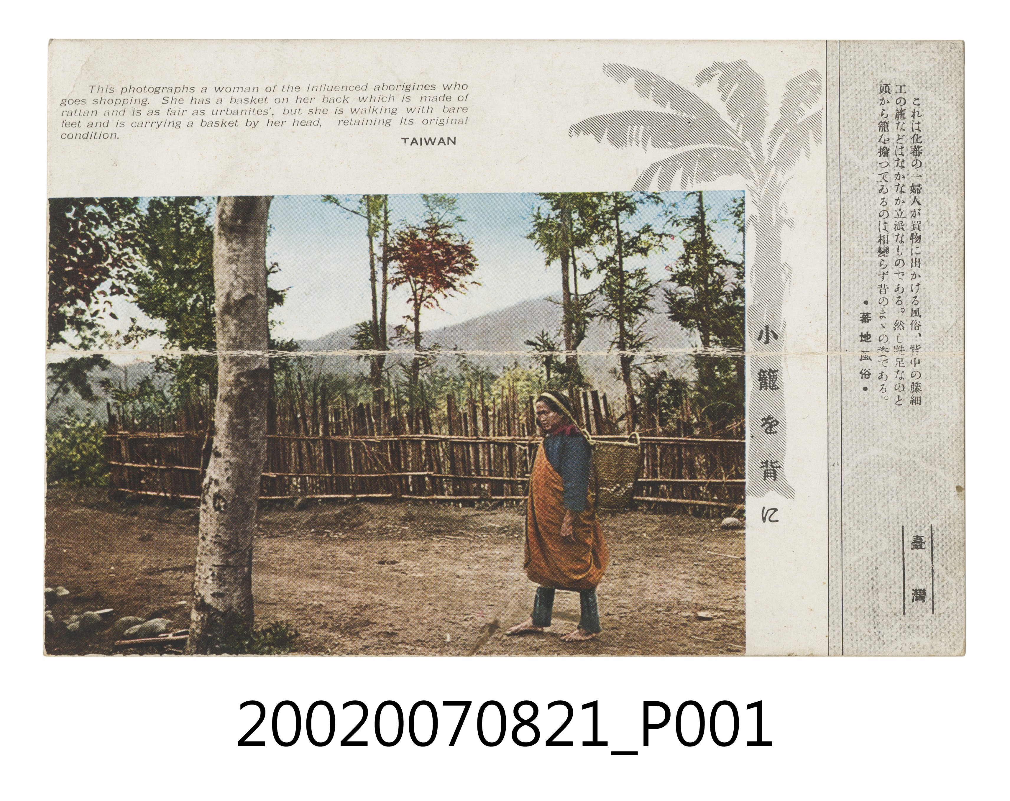 大正印製原住民婦女竹簍背負 (共4張)