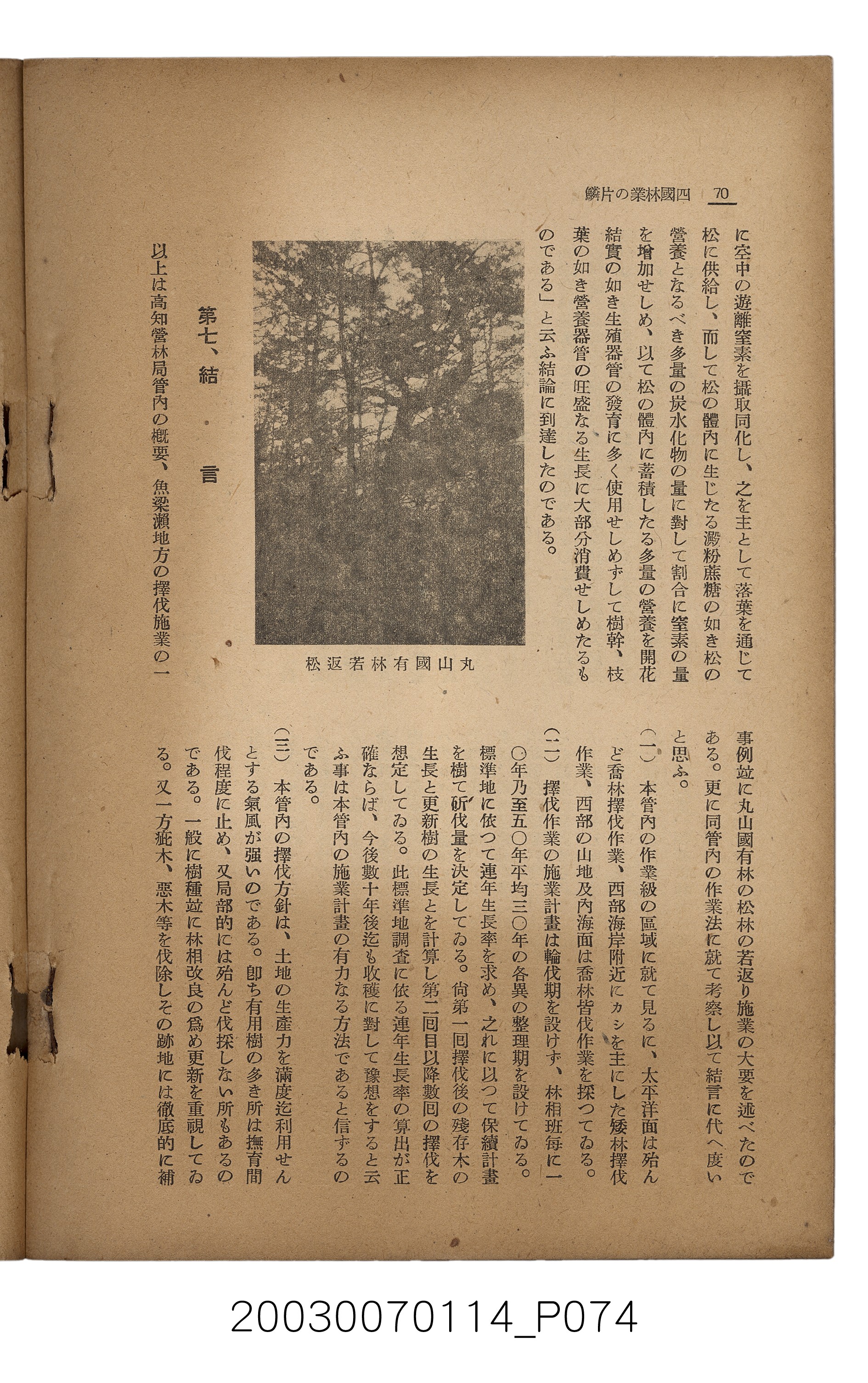 社團法人臺灣山林會發行《臺灣的山林》第171號 (共83張)