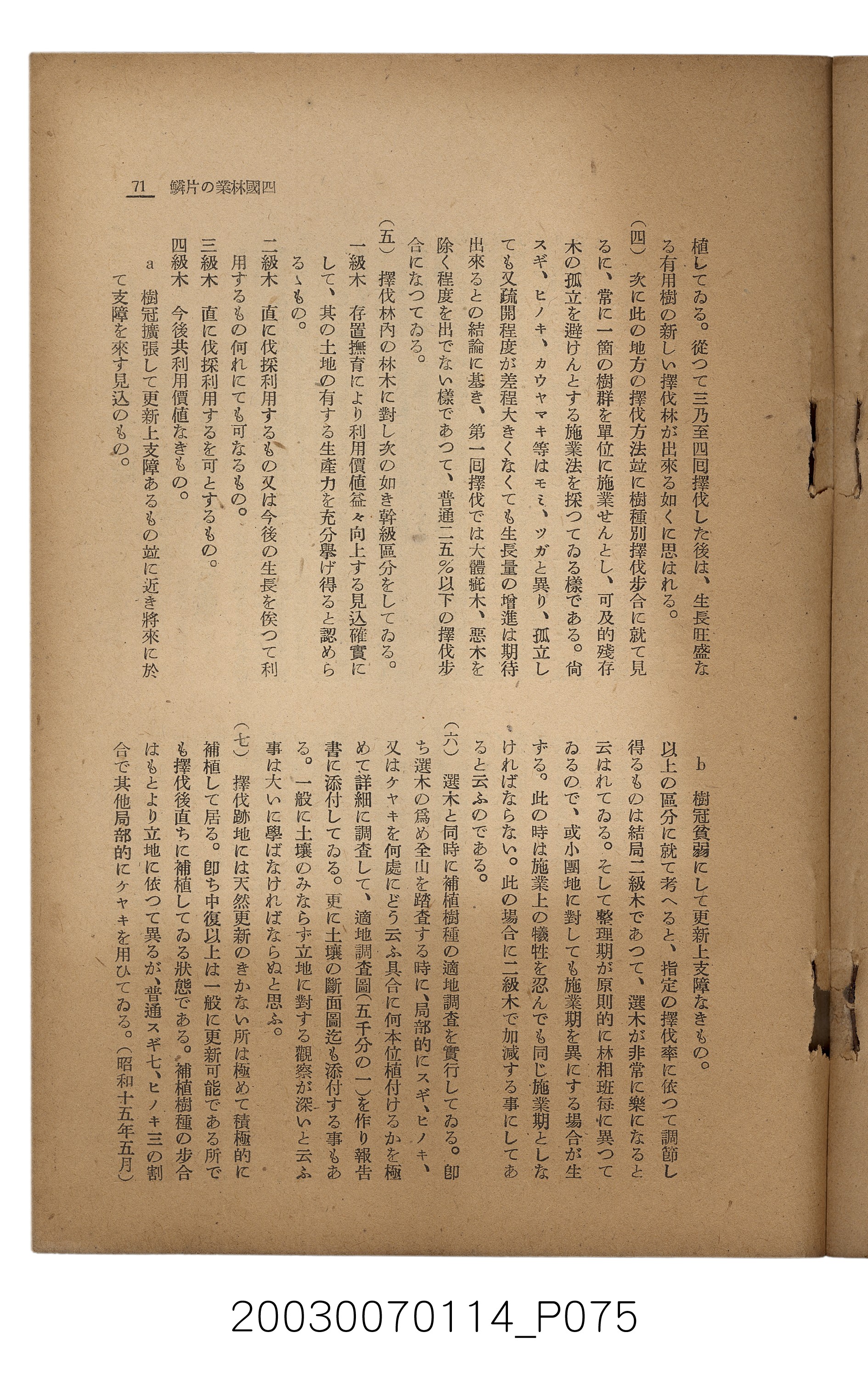 社團法人臺灣山林會發行《臺灣的山林》第171號 (共83張)