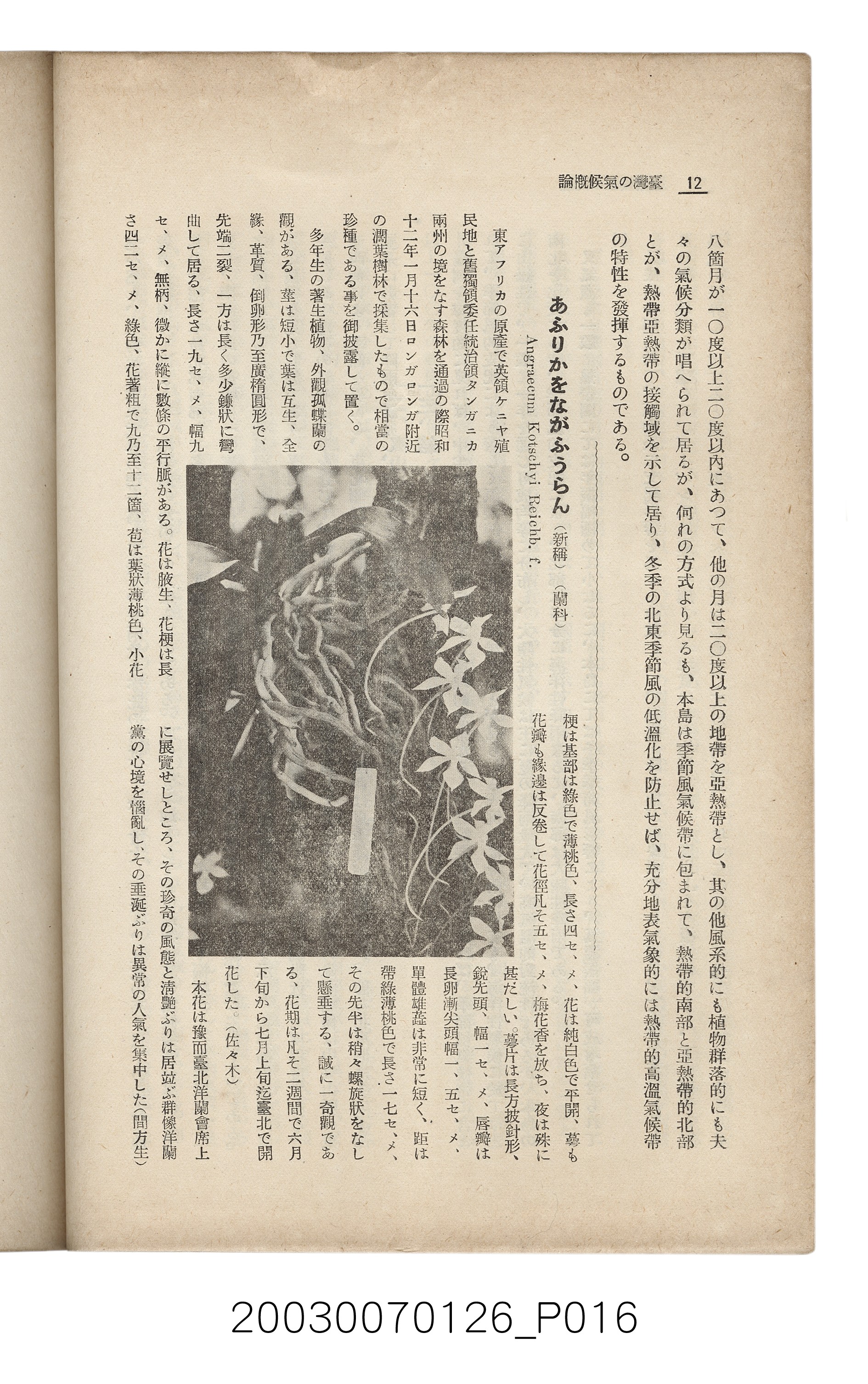 社團法人臺灣山林會發行《臺灣的山林》第136號 (共81張)