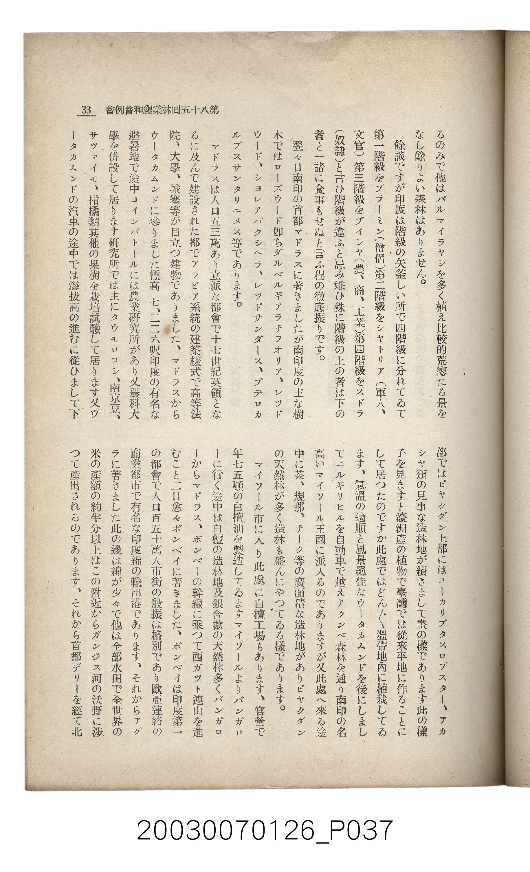 社團法人臺灣山林會發行《臺灣的山林》第136號 (共81張)