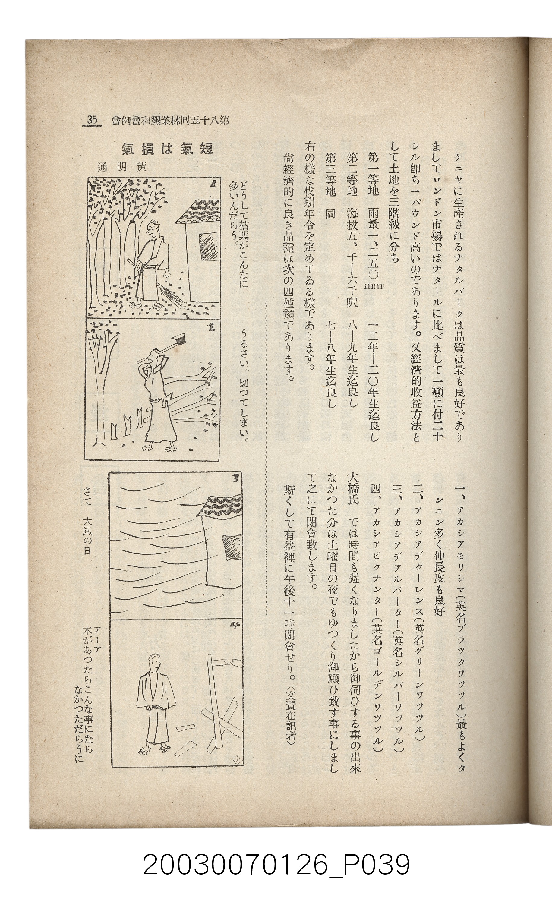 社團法人臺灣山林會發行《臺灣的山林》第136號 (共81張)
