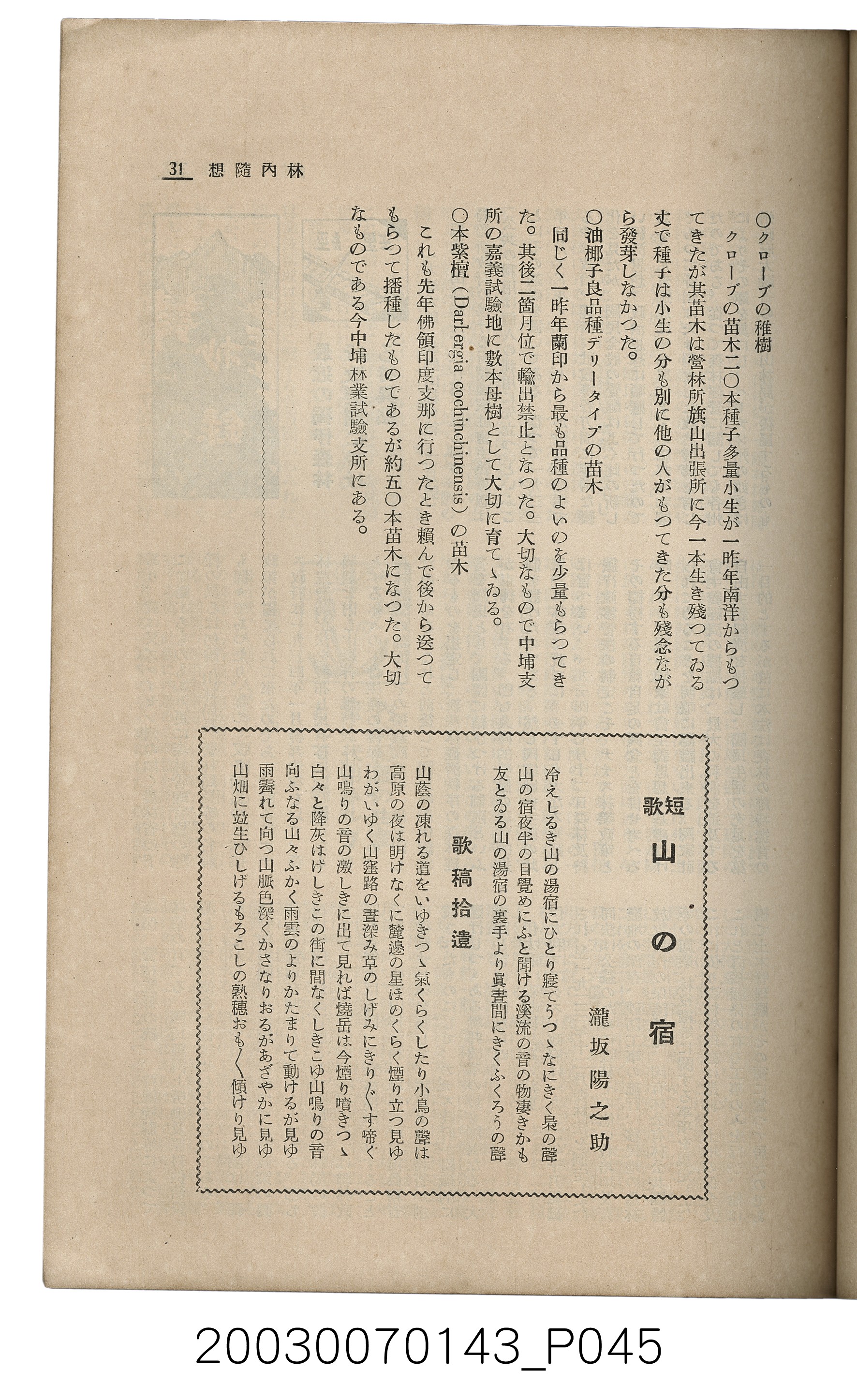 社團法人臺灣山林會發行《臺灣的山林》第145號 (共151張)