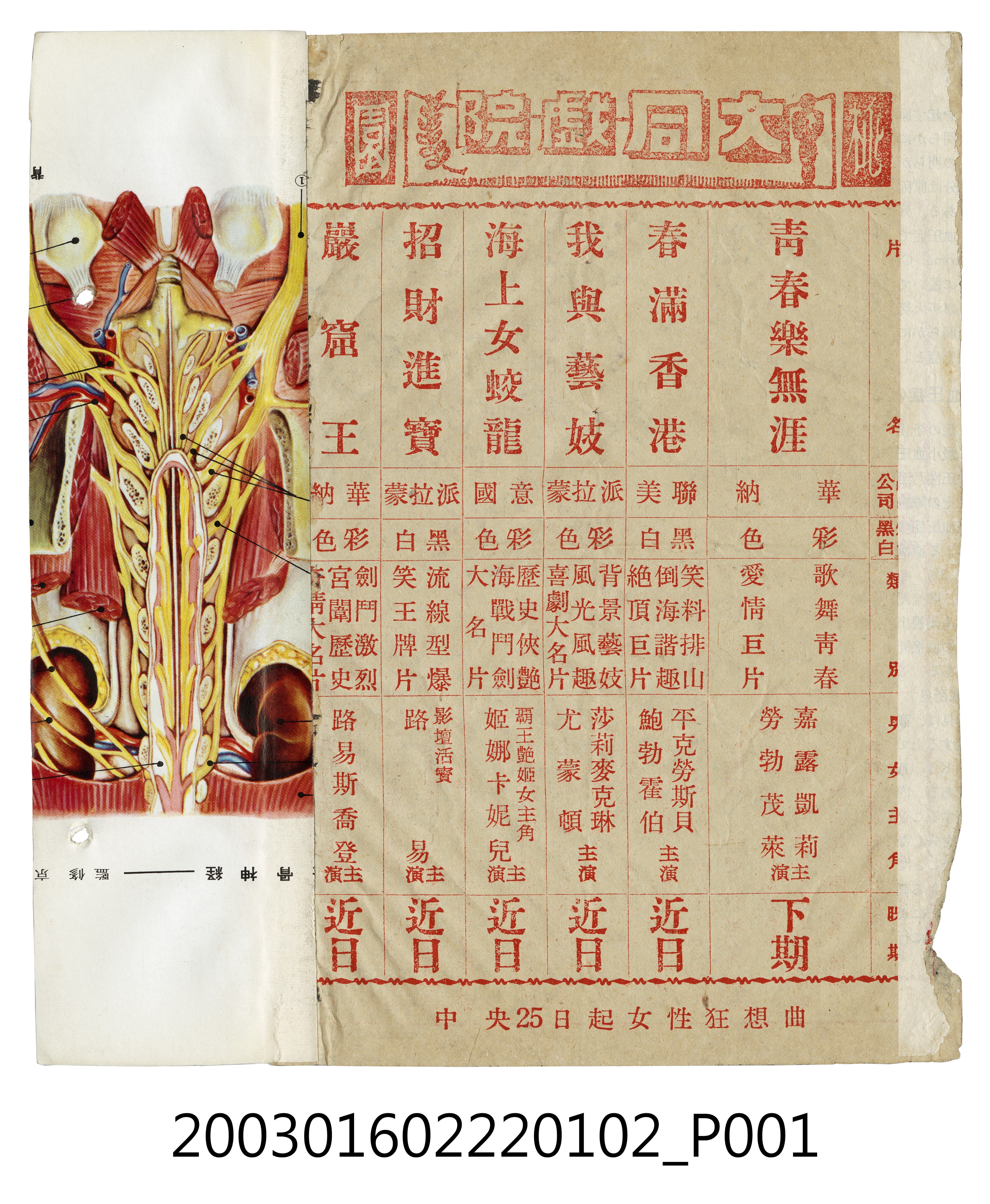 大同戲院發行《青春樂無涯》等電影本事 (共3張)