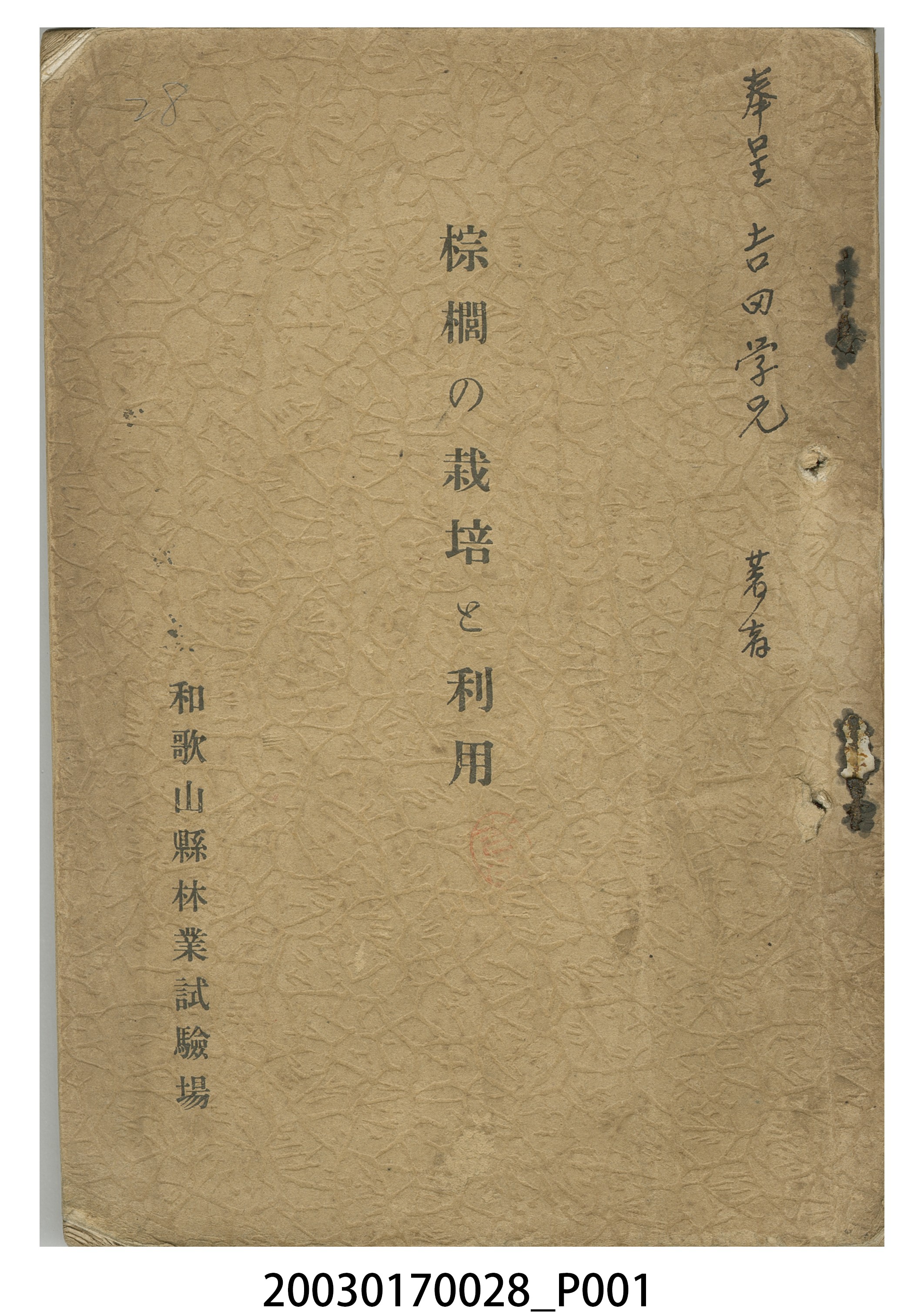 日下部兼道編著《棕櫚之栽培與利用》 (共7張)