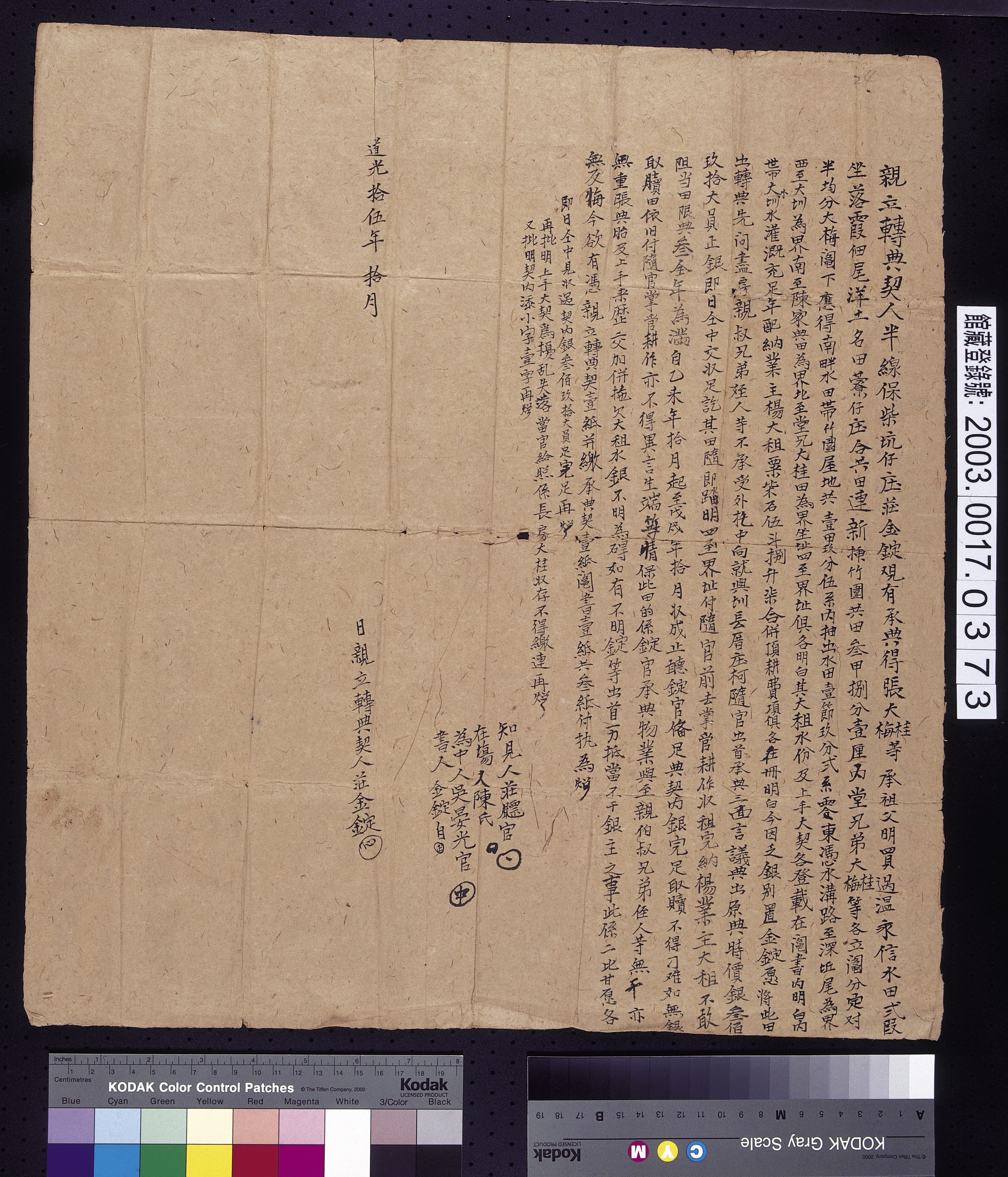 道光15年莊金錠親立轉典契 (共2張)