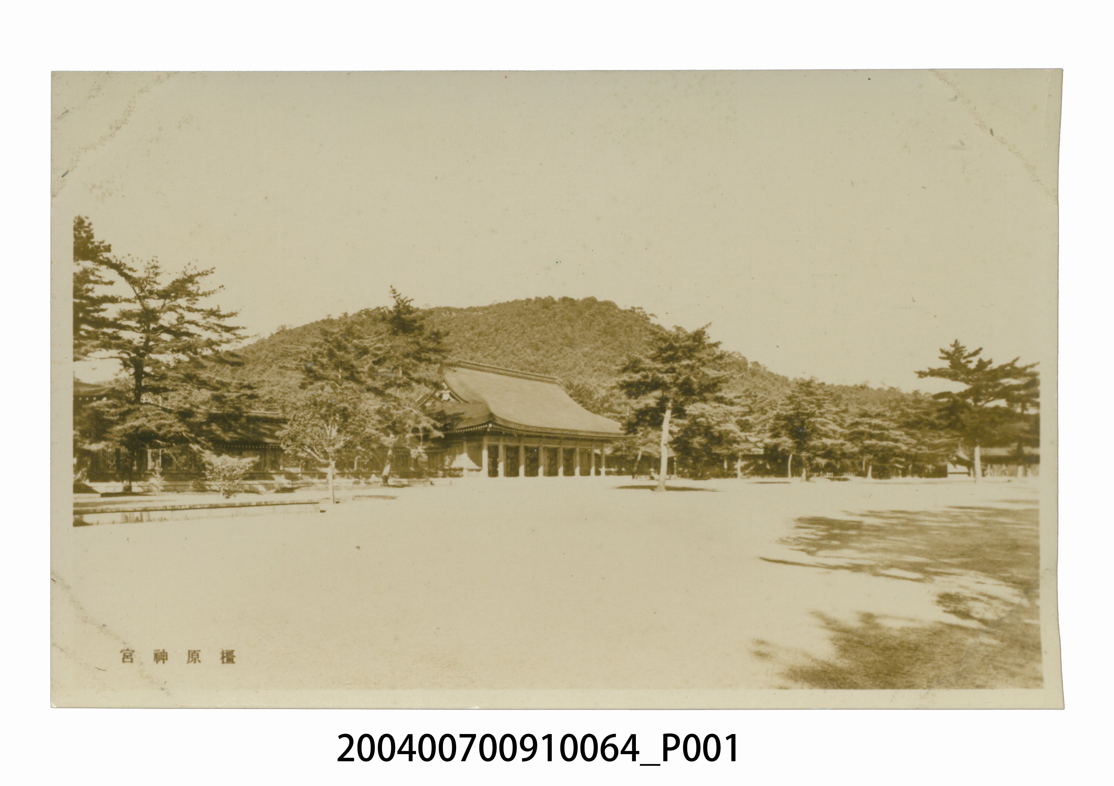 奈良縣橿原神宮明信片 (共3張)
