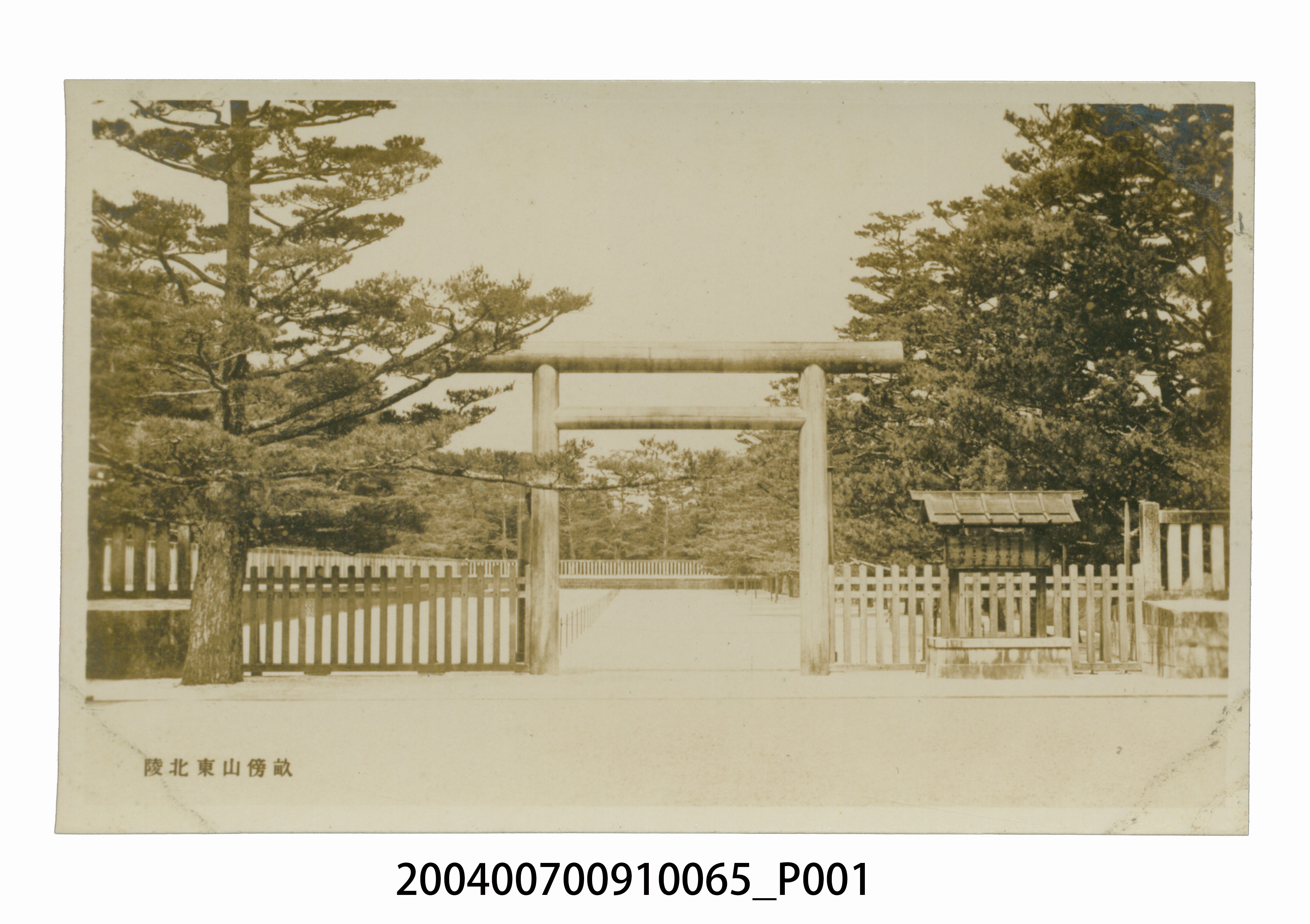 奈良縣畝傍山東北陵明信片 (共3張)