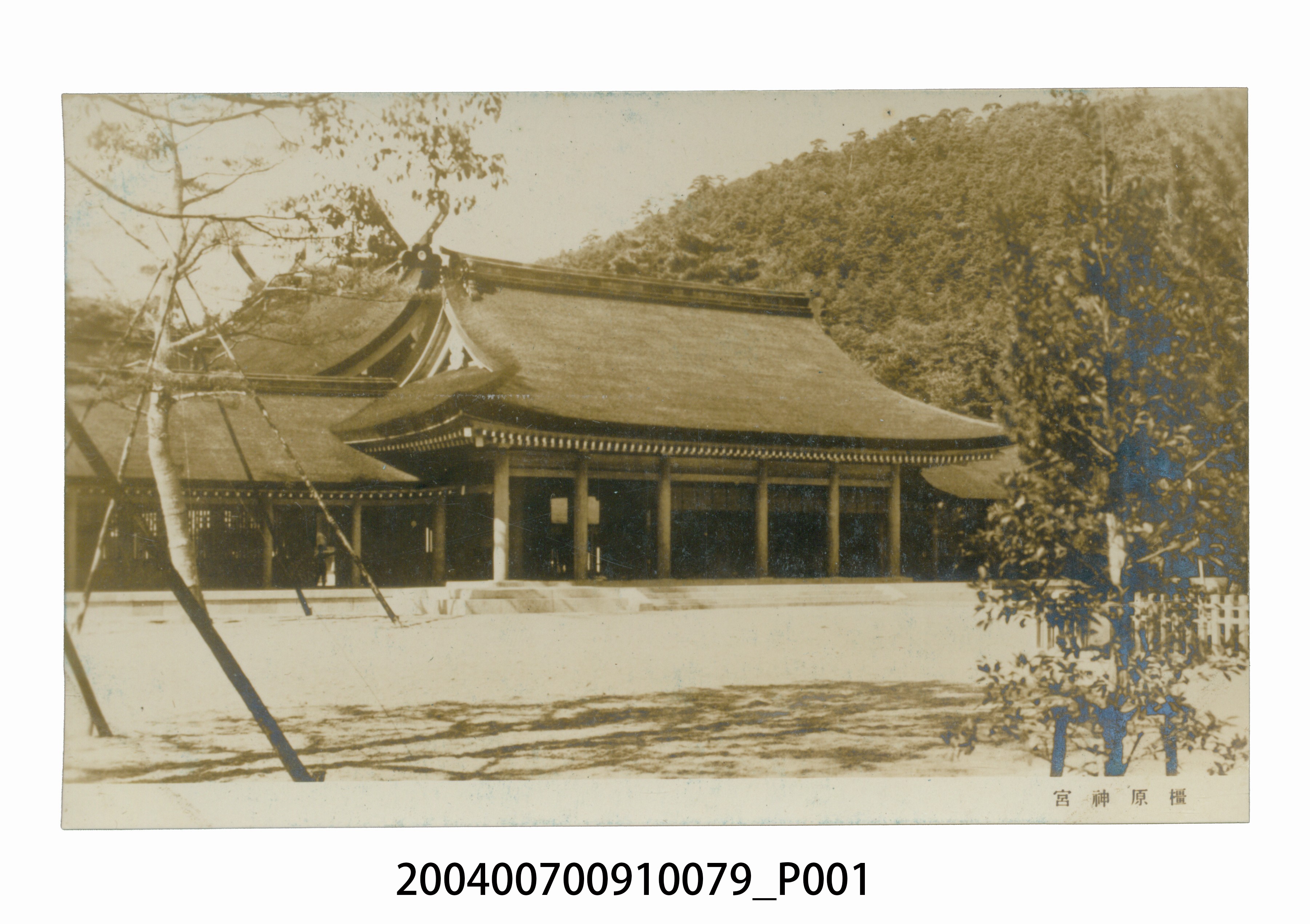 奈良縣橿原神宮明信片 (共3張)