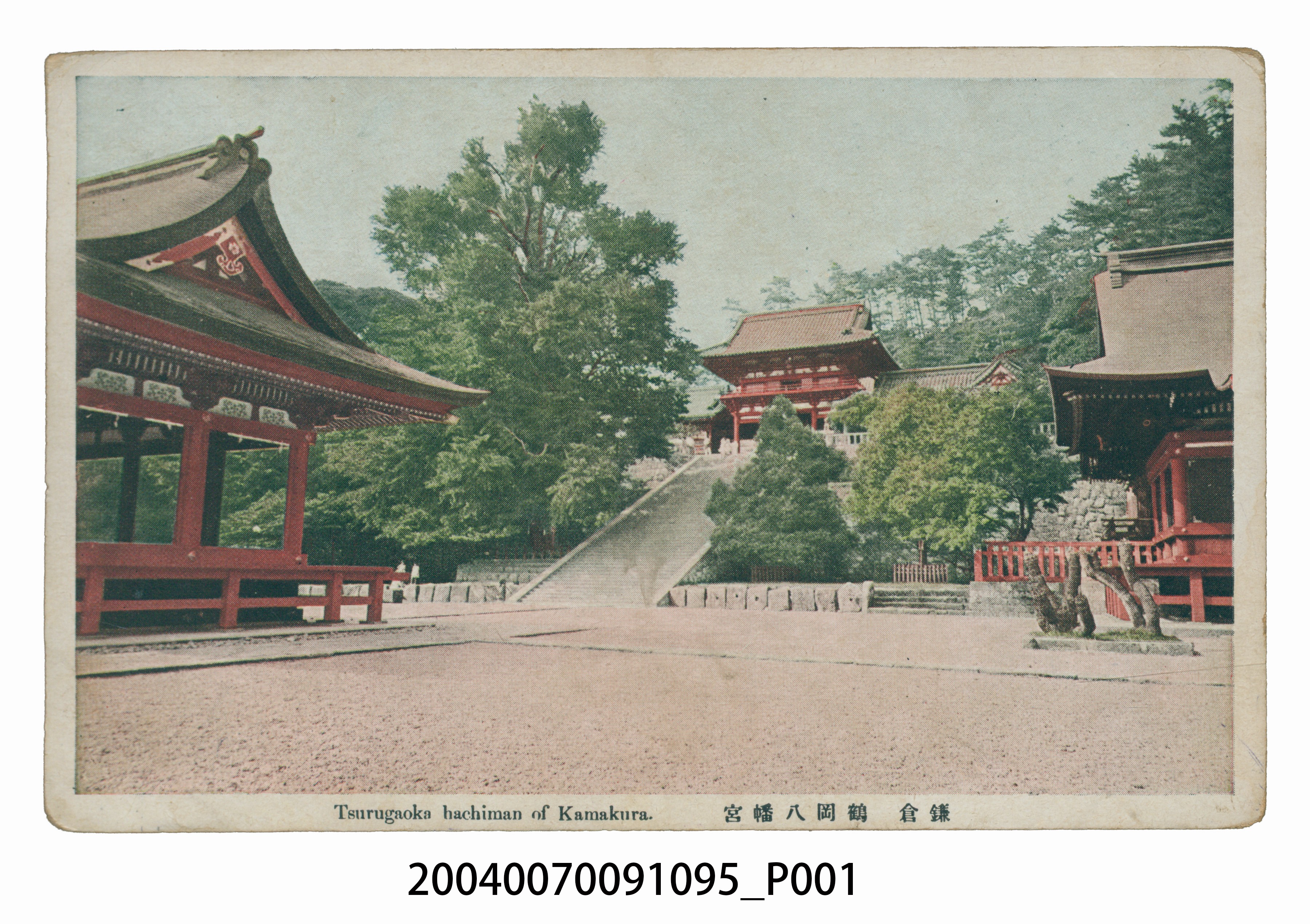 鎌倉鶴岡八幡宮明信片 (共3張)