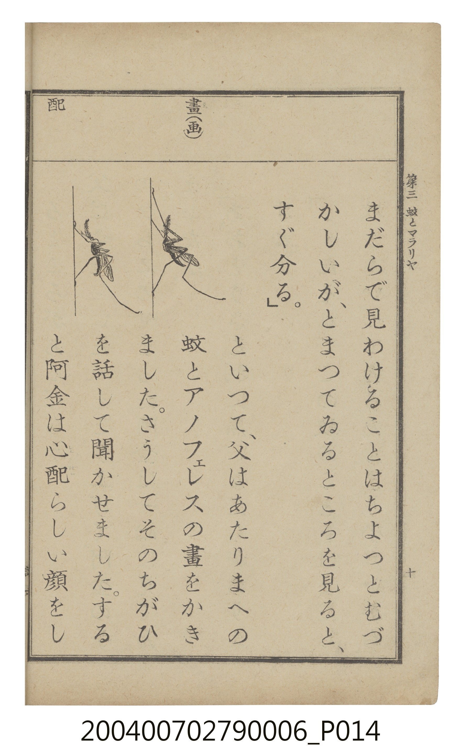 臺灣總督府編纂《公學校用國語讀本第一種》卷六 (共110張)