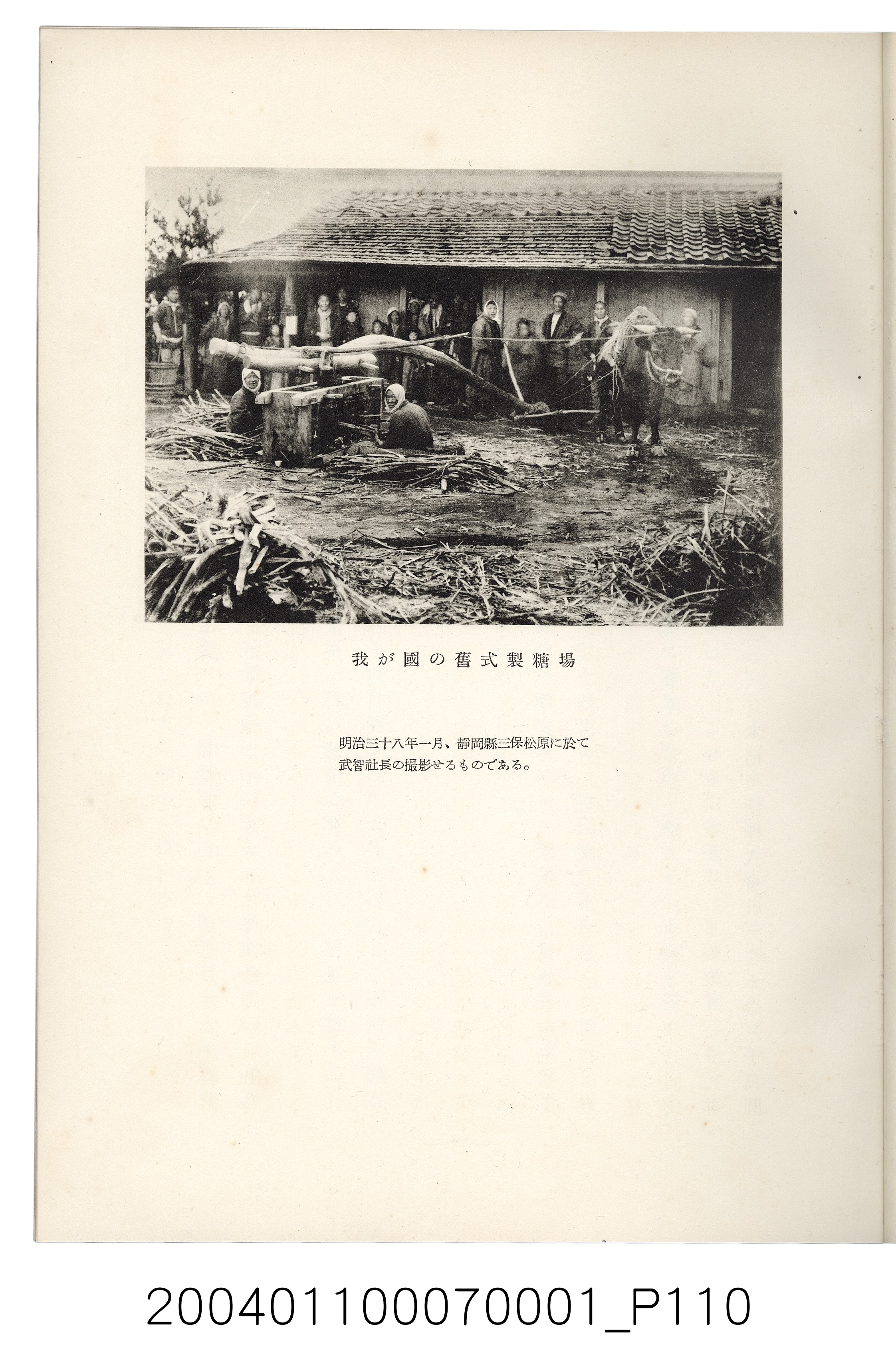 伊藤重郎編《臺灣製糖株式會社史》書本 (共593張)