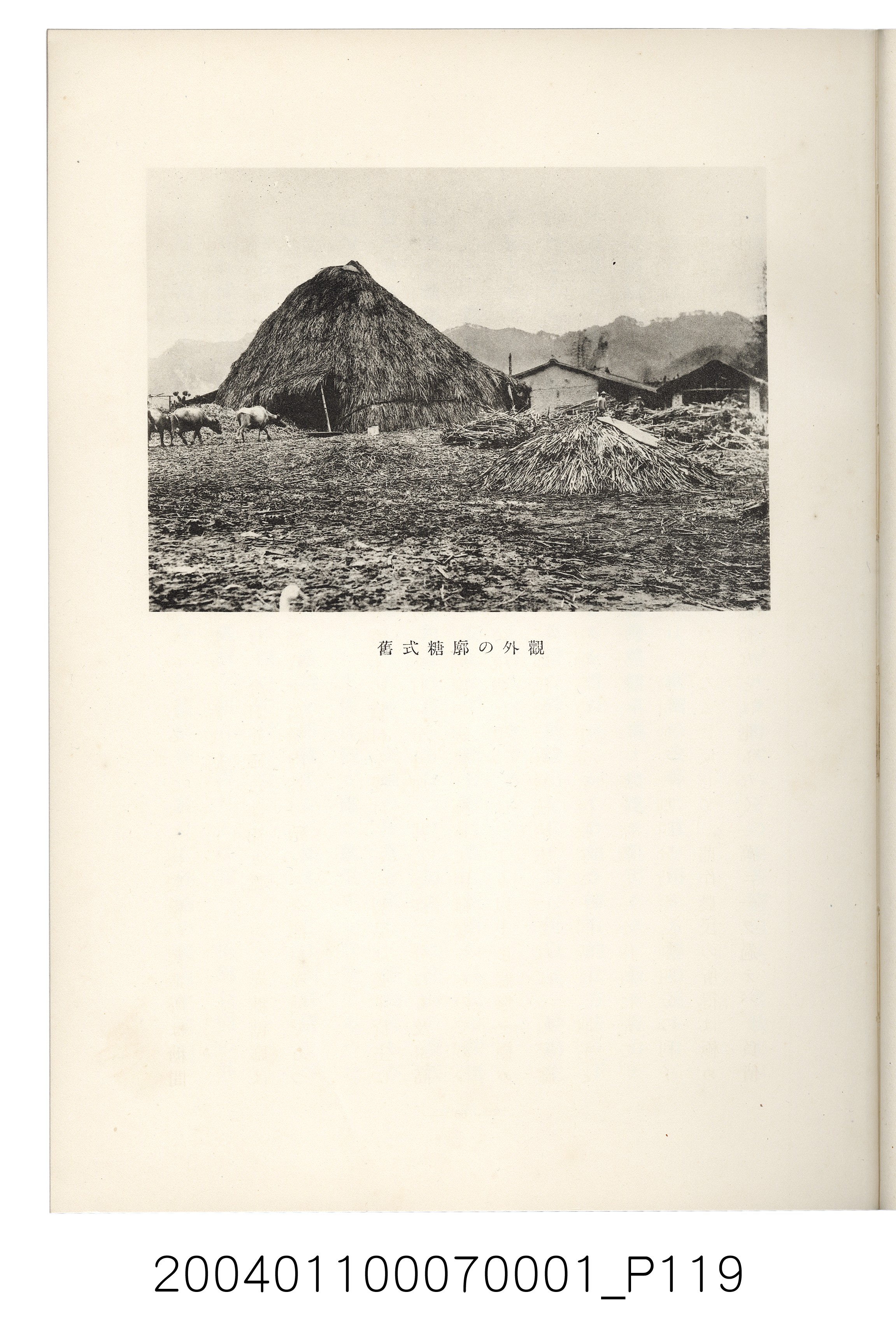 伊藤重郎編《臺灣製糖株式會社史》書本 (共593張)