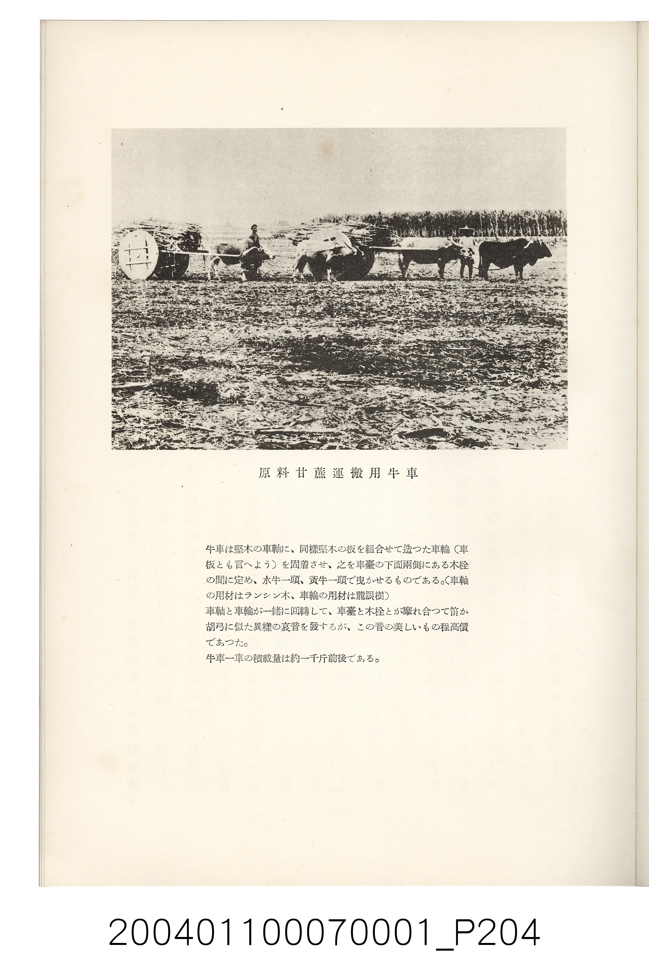 伊藤重郎編《臺灣製糖株式會社史》書本 (共593張)
