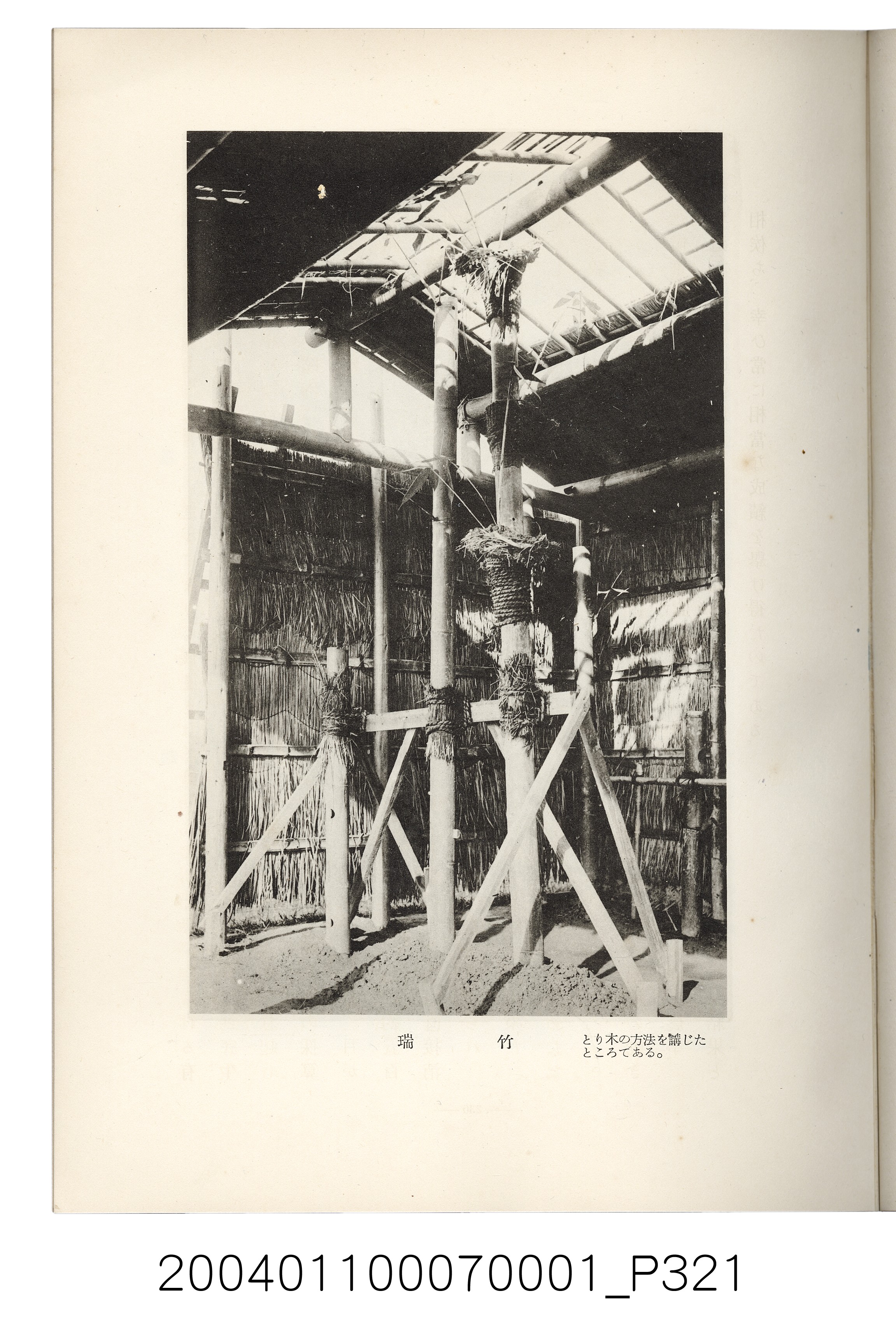 伊藤重郎編《臺灣製糖株式會社史》書本 (共593張)