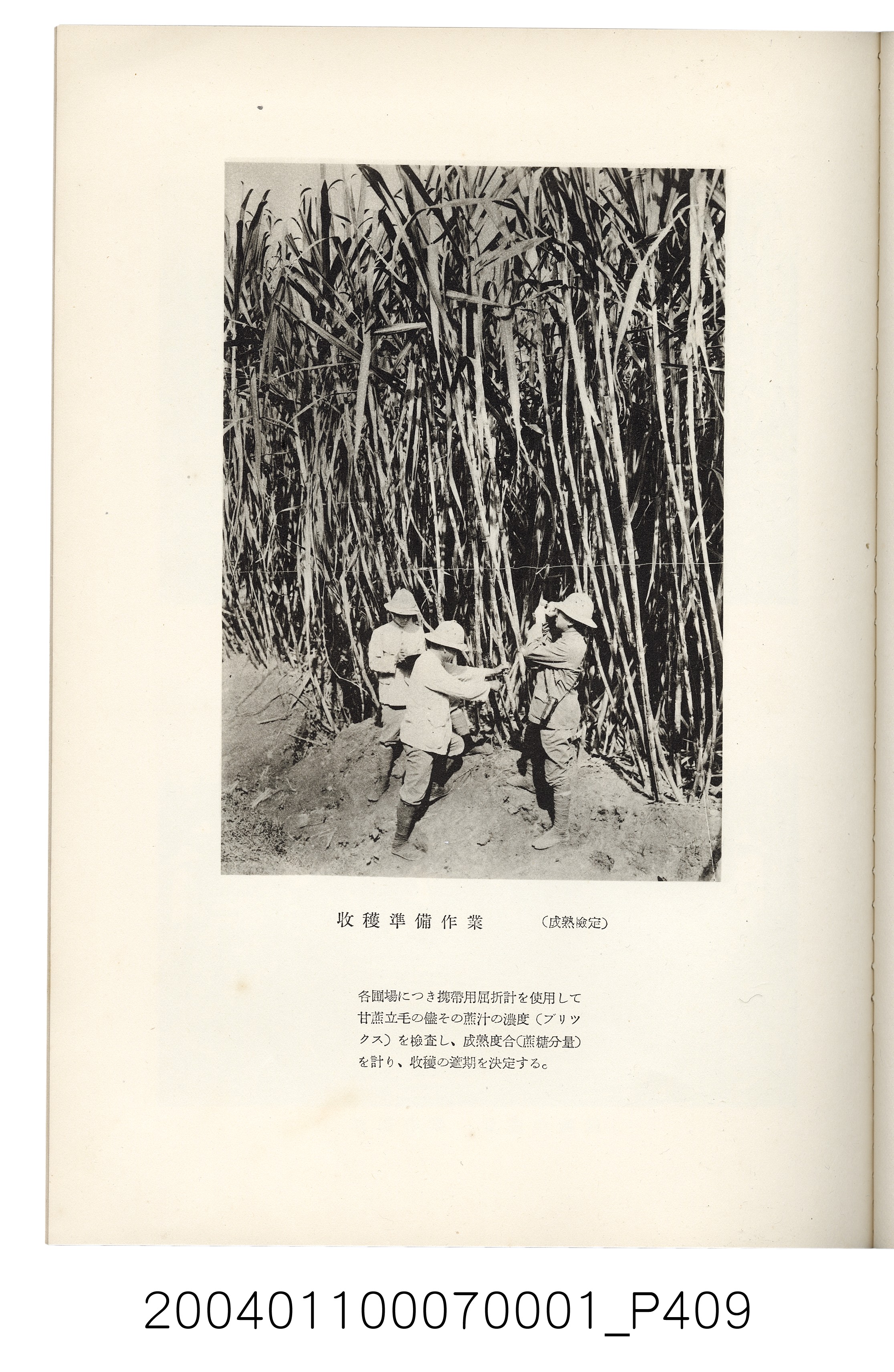 伊藤重郎編《臺灣製糖株式會社史》書本 (共593張)