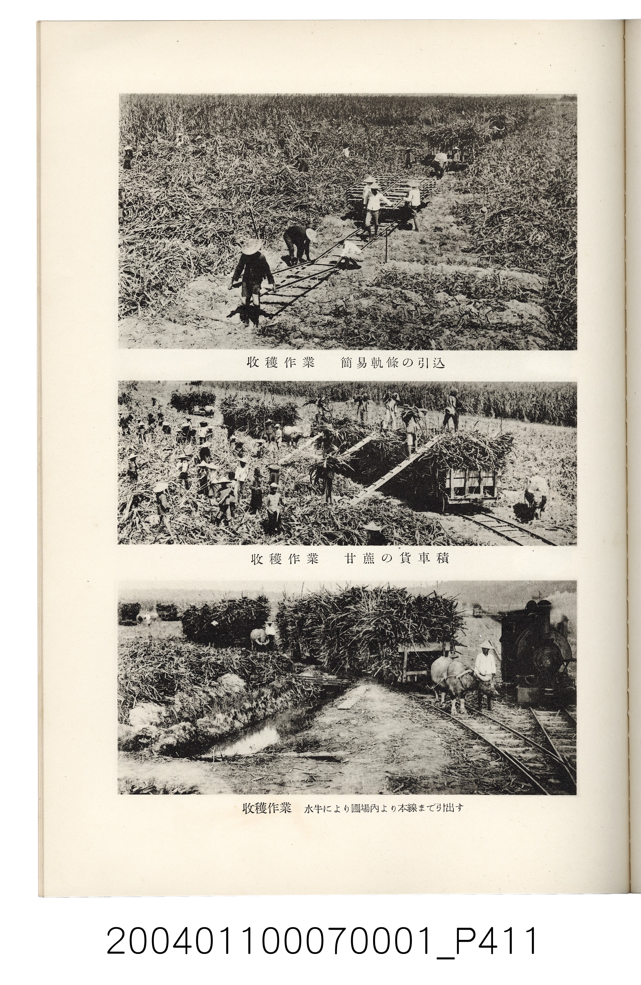 伊藤重郎編《臺灣製糖株式會社史》書本 (共593張)