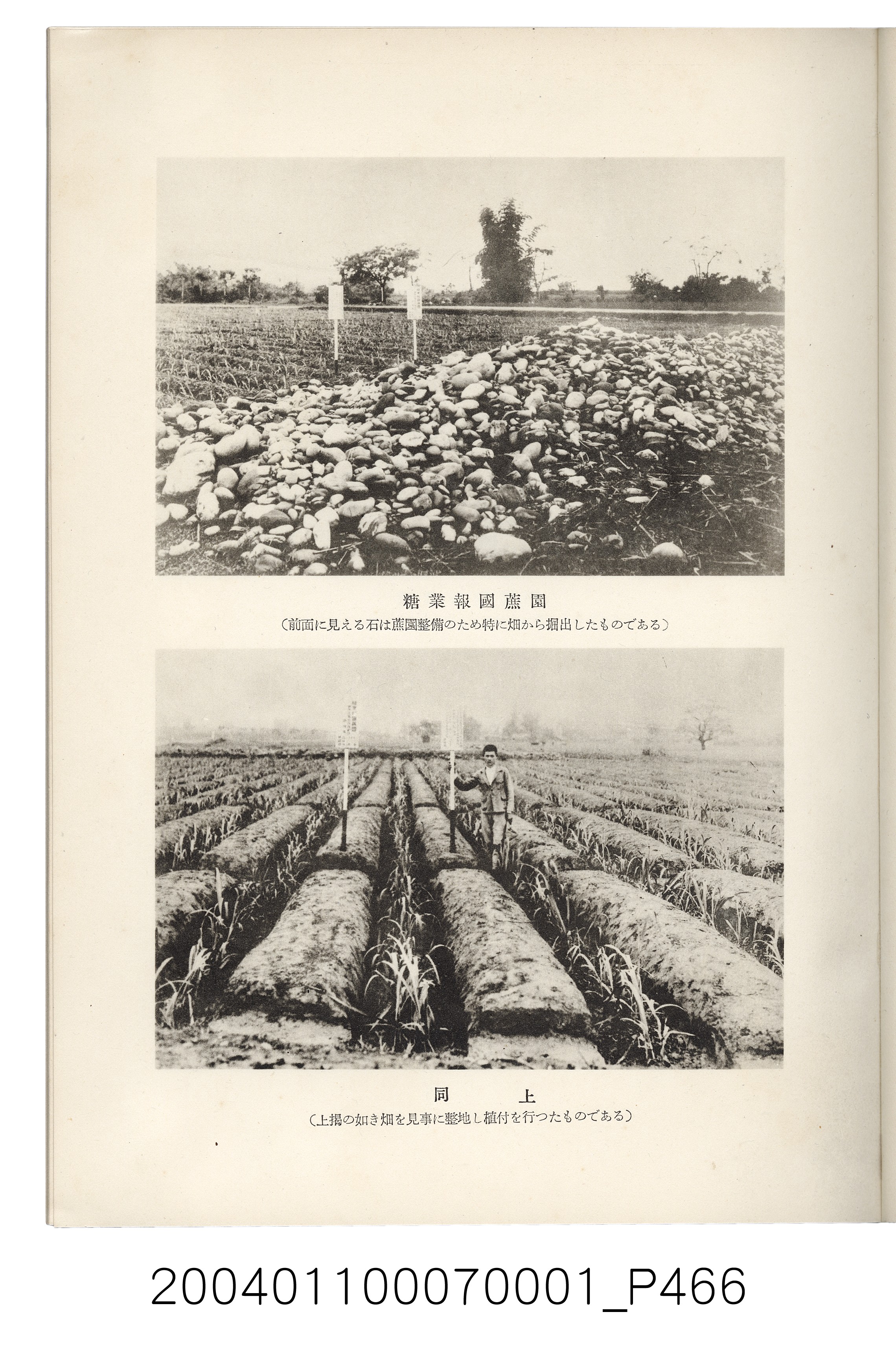 伊藤重郎編《臺灣製糖株式會社史》書本 (共593張)
