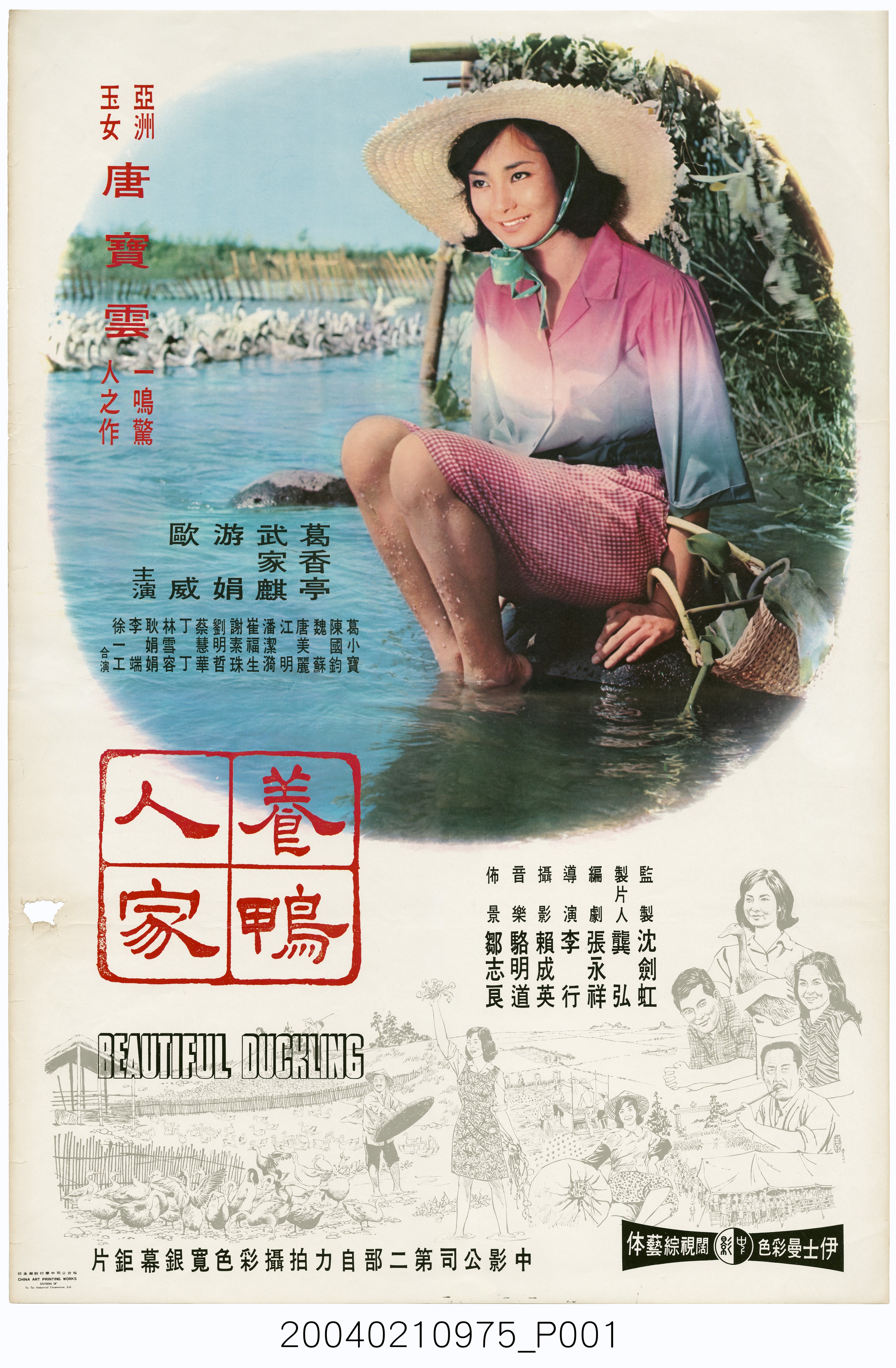《養鴨人家》電影海報 (共2張)