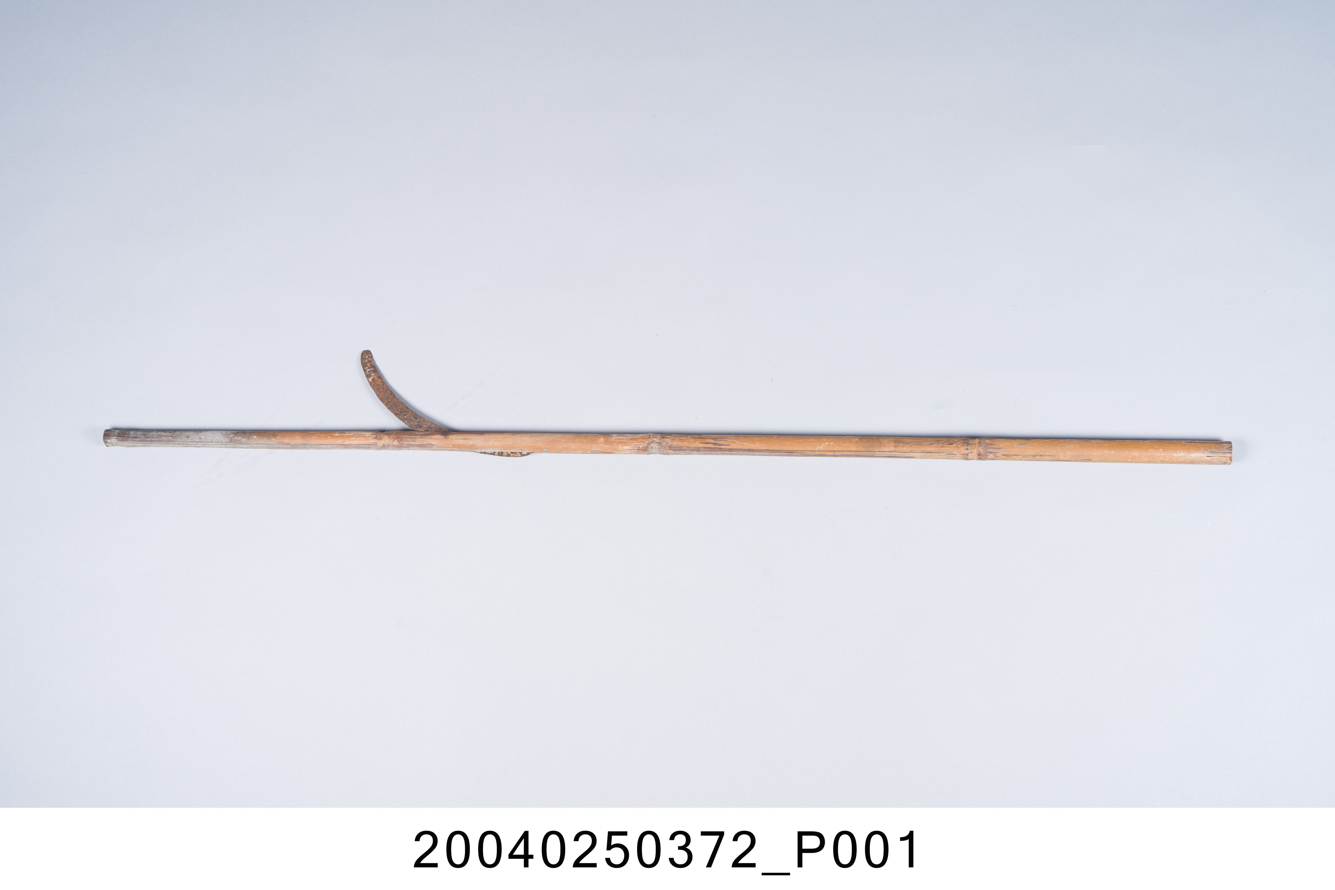 龍眼刀 (共6張)