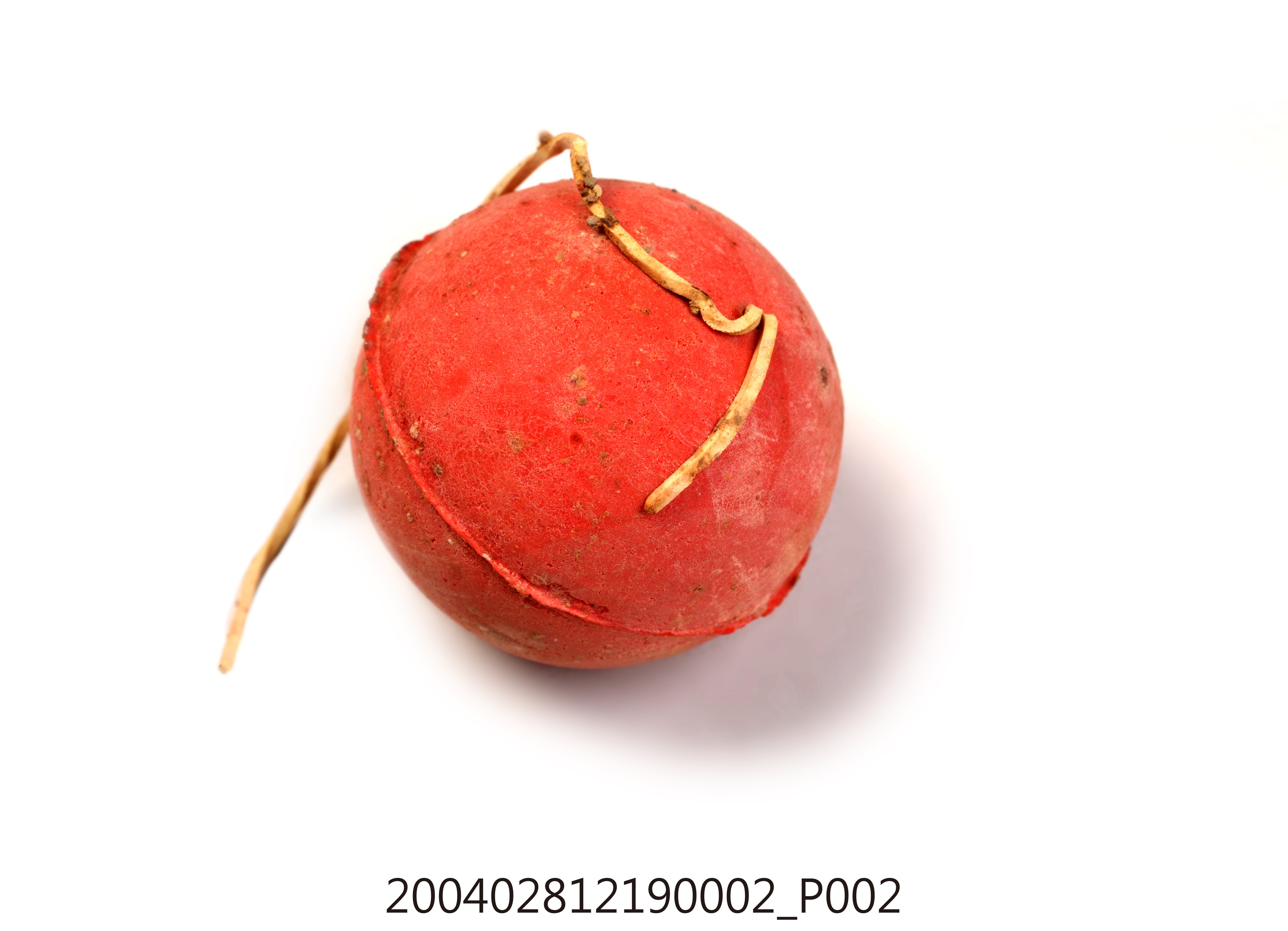 板牆球 (共5張)