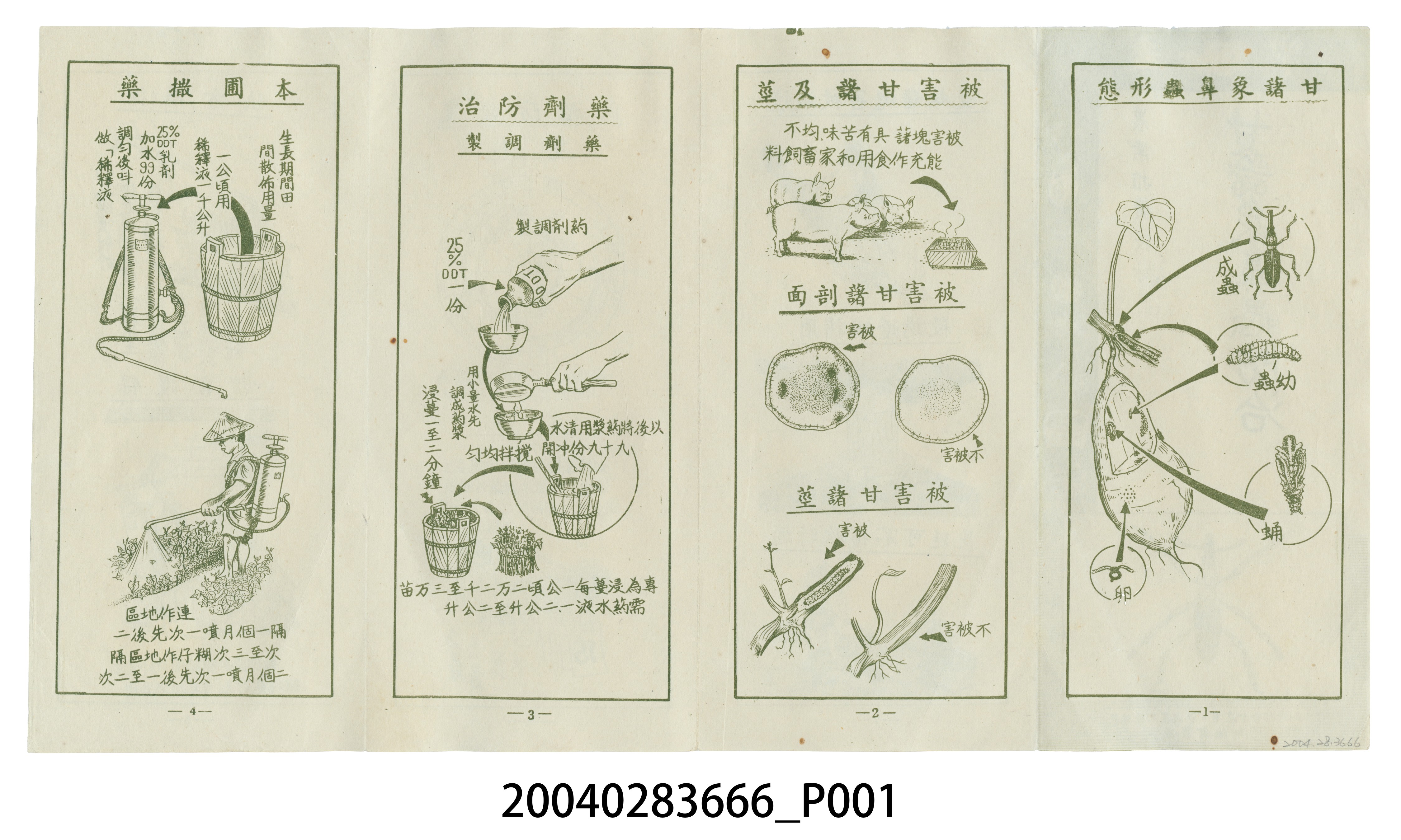 農業推廣教材甘藷象鼻蟲防治宣傳摺頁 (共6張)