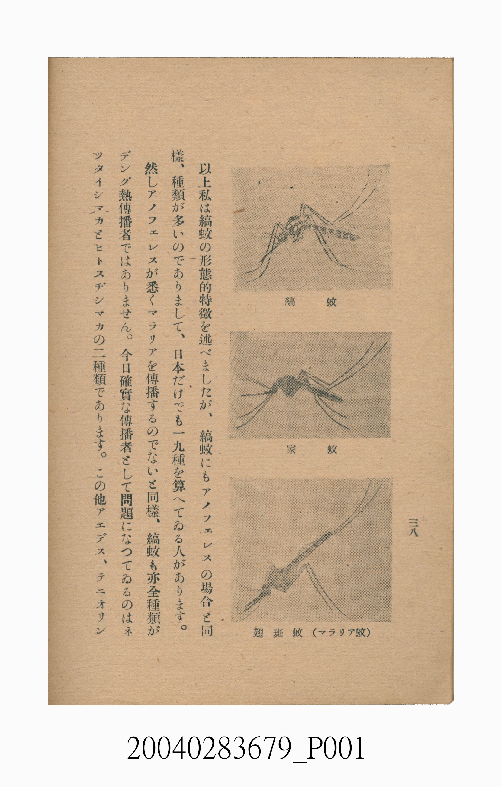 宮原初男著《登革熱讀本》 (共6張)