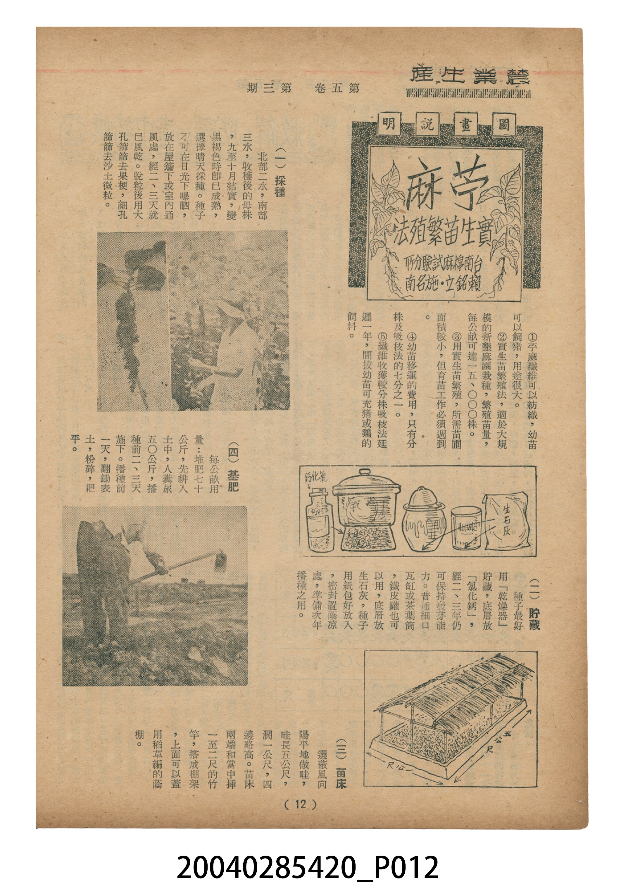 豐年社《豐年》第5卷第3期 (共35張)