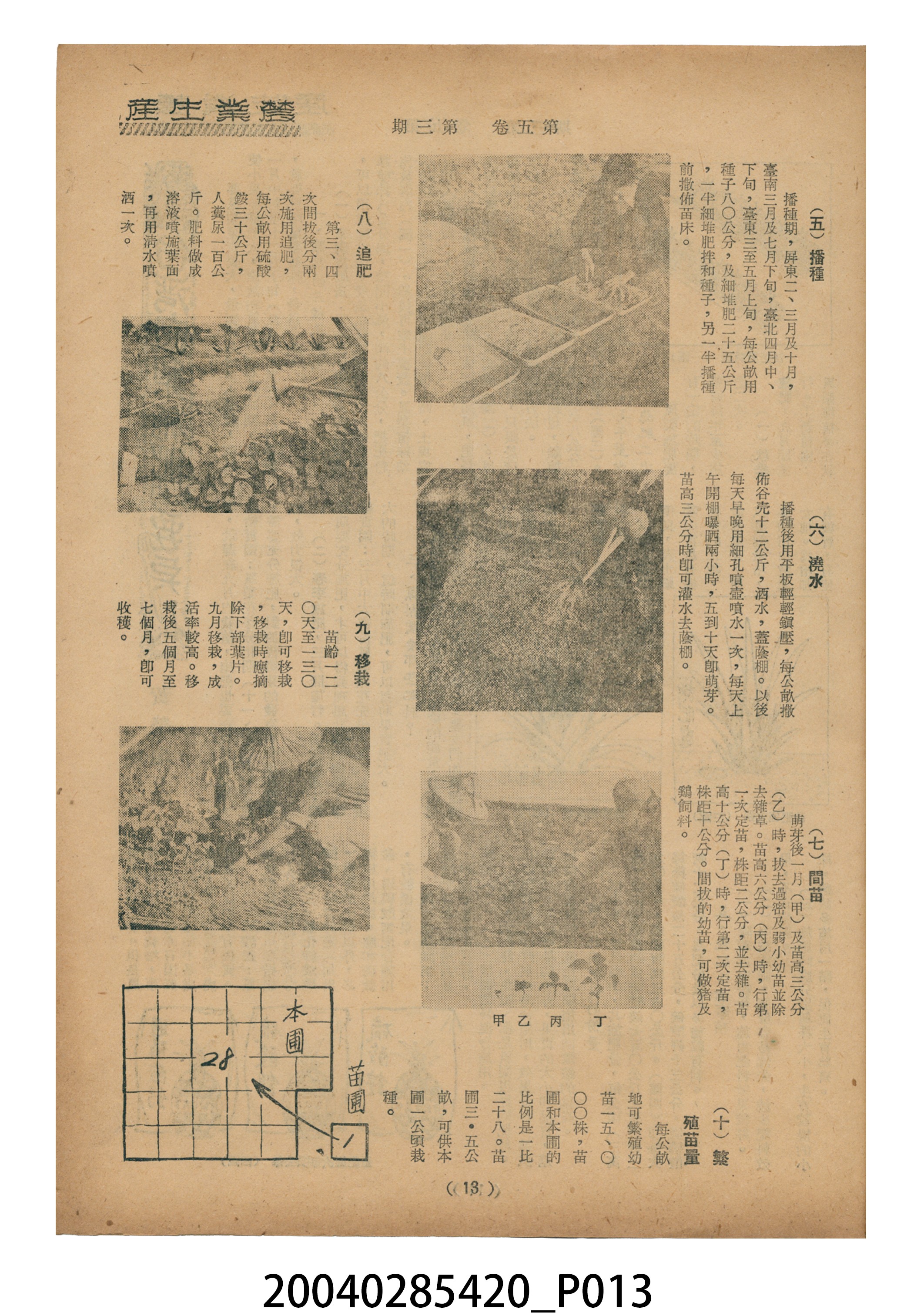 豐年社《豐年》第5卷第3期 (共35張)