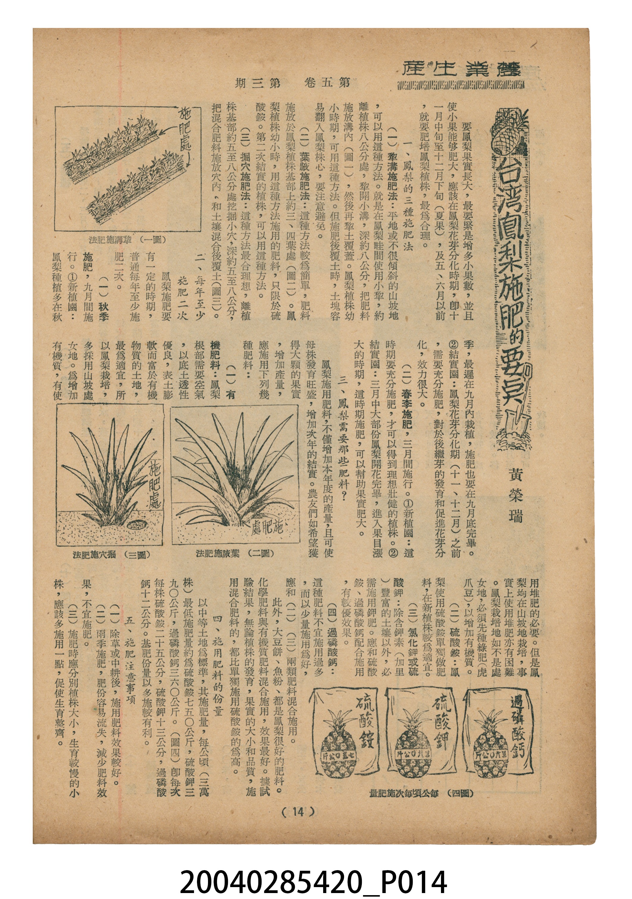豐年社《豐年》第5卷第3期 (共35張)