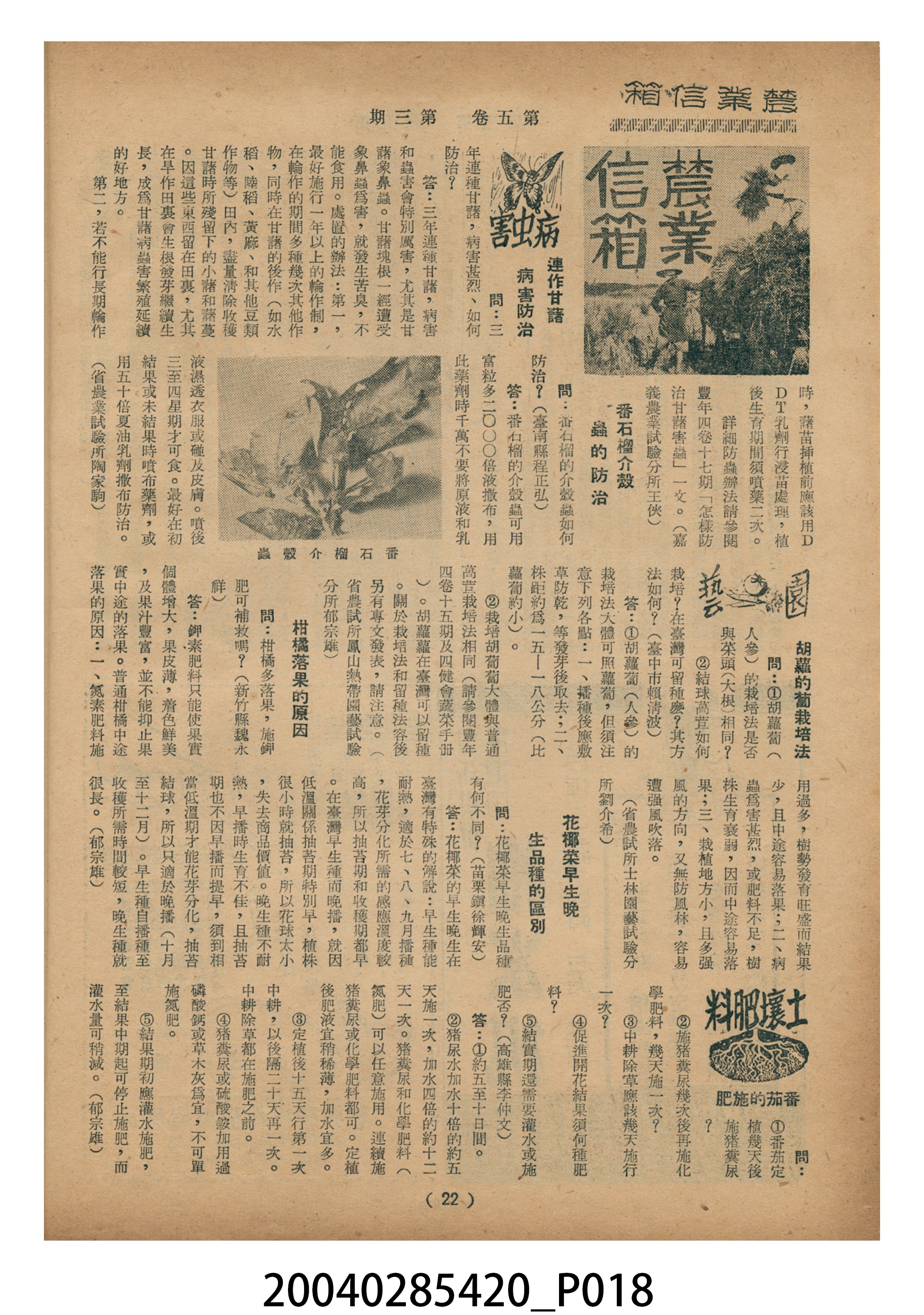 豐年社《豐年》第5卷第3期 (共35張)