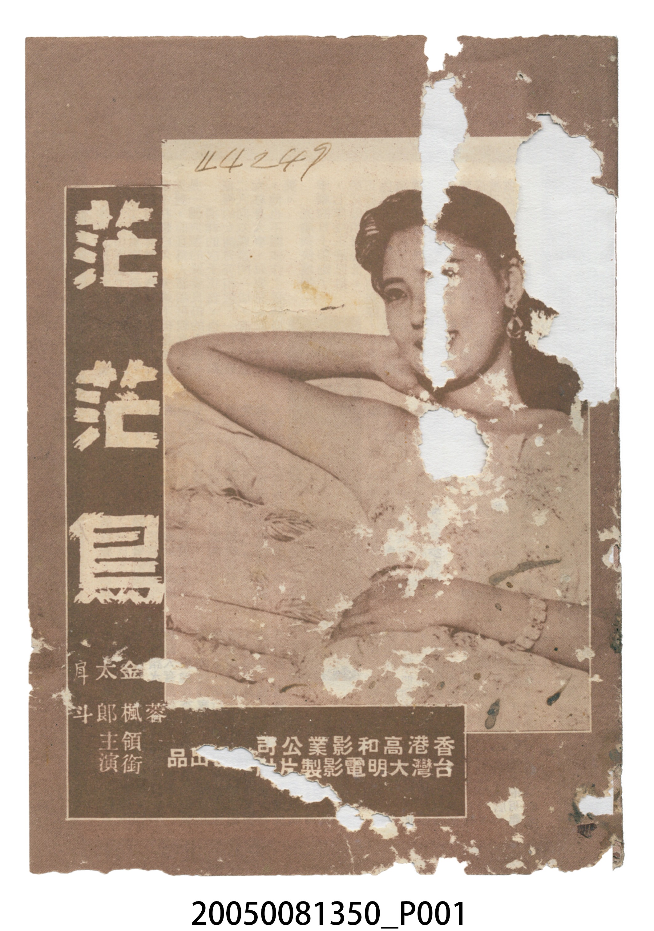 《茫茫鳥》電影本事 (共20張)