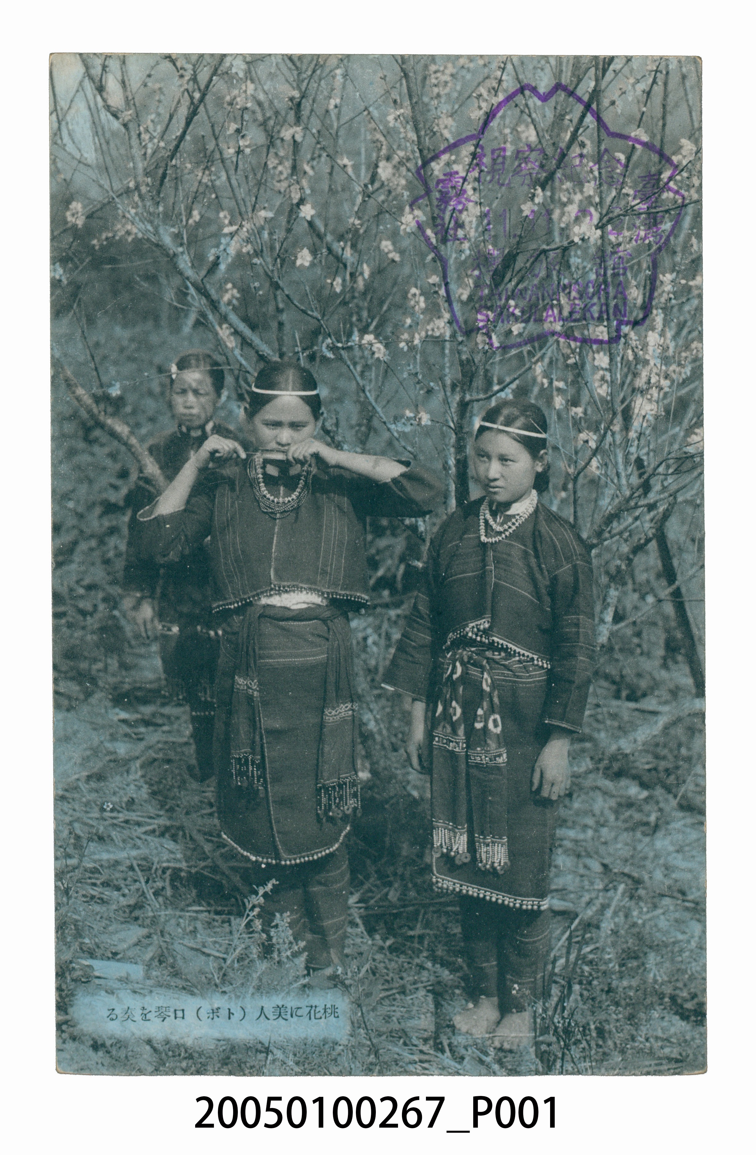 桃花美人 (共4張)