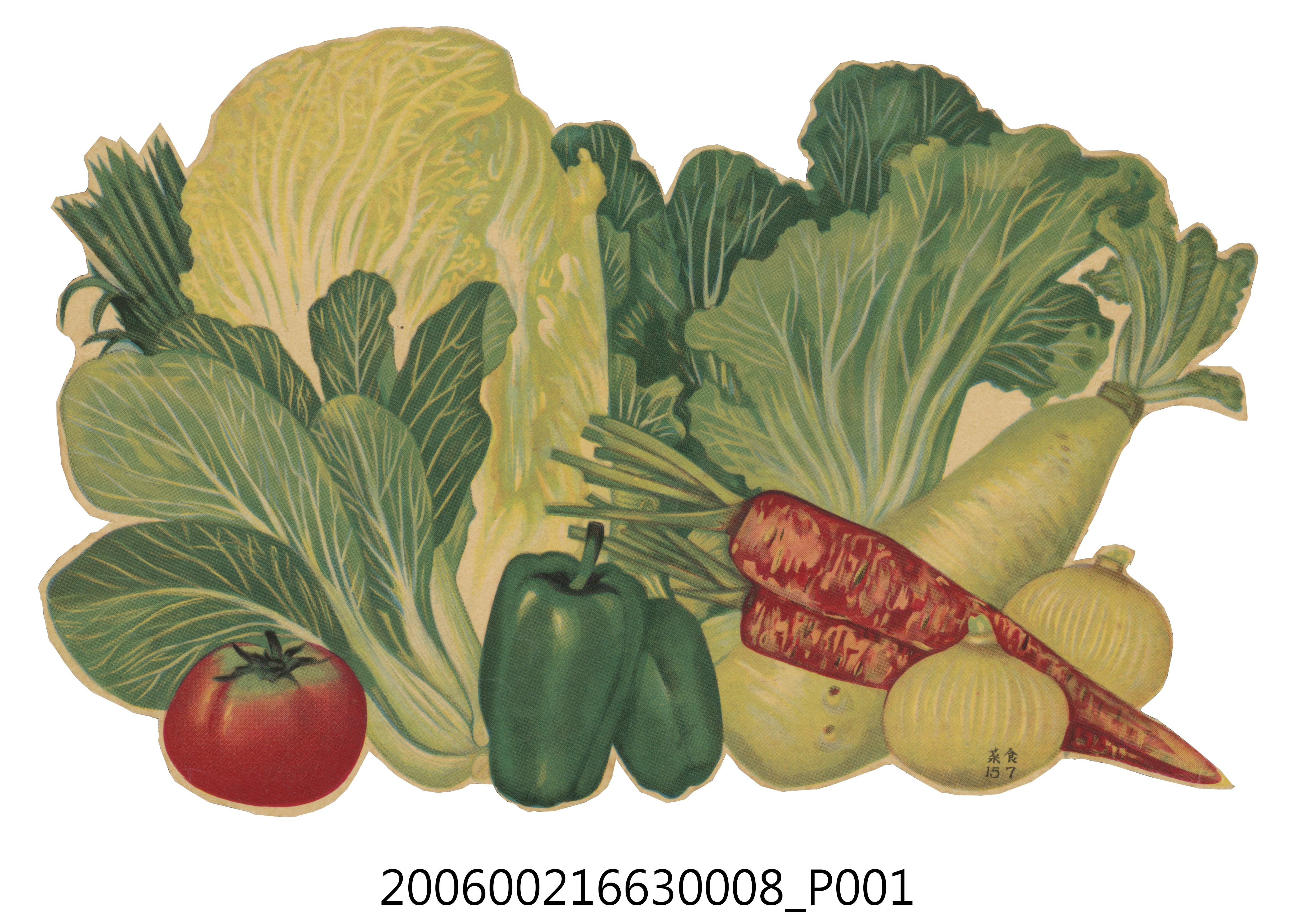 健康教育圖片第四類食物蔬菜 (共2張)