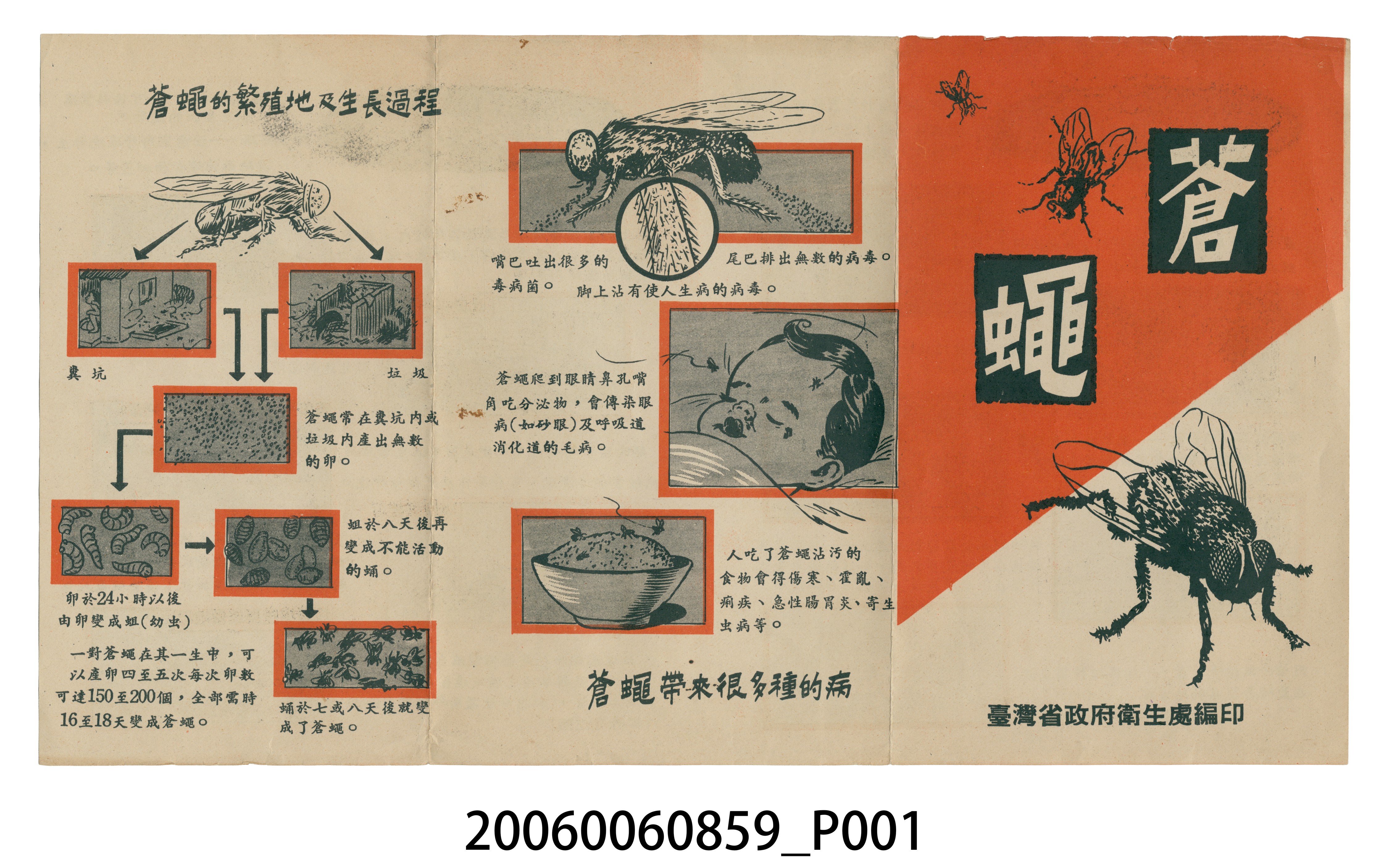 消滅蒼蠅宣傳單 (共4張)