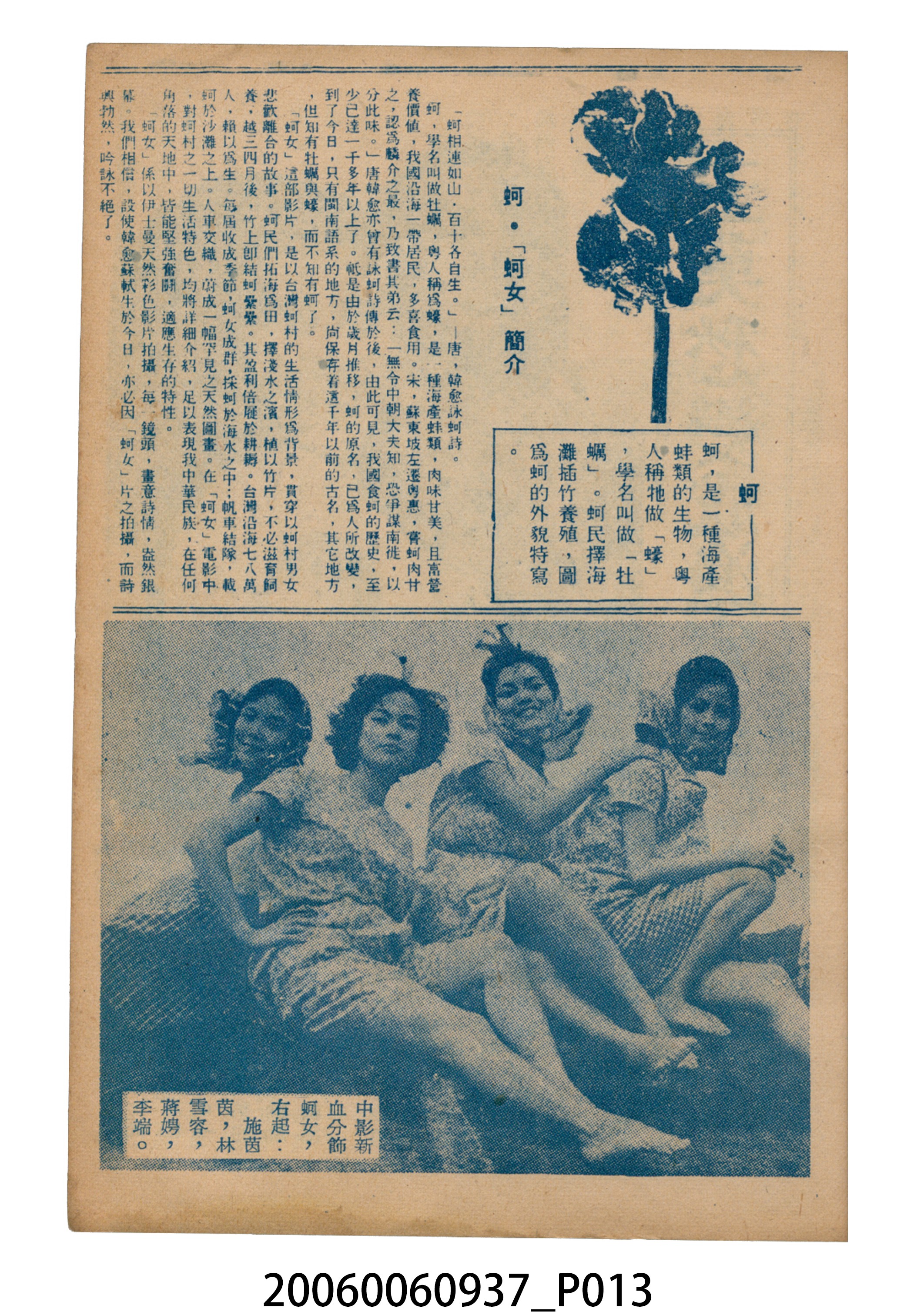 《蚵女》電影本事 (共46張)