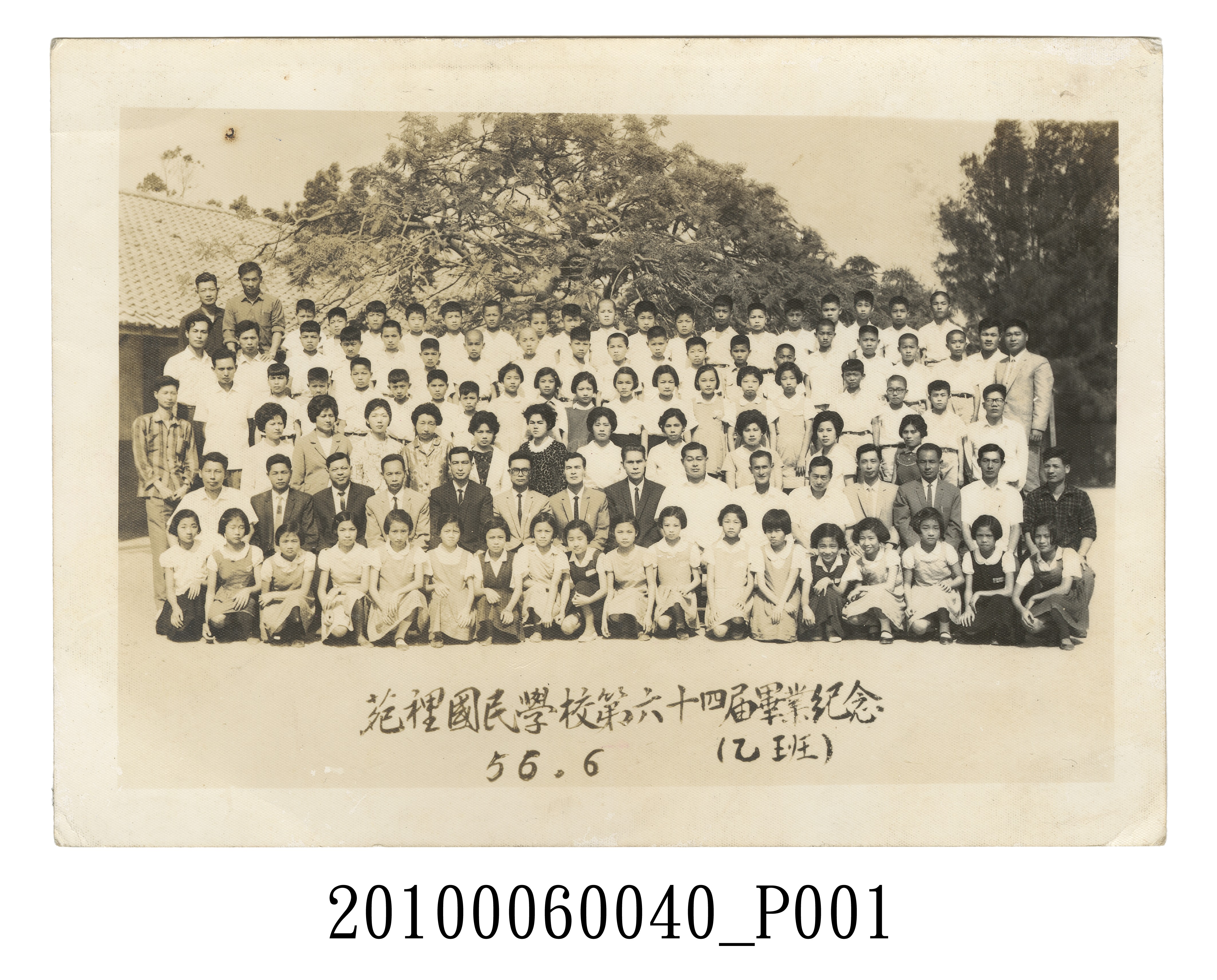 苗栗縣苑裡鎮文苑國民學校64屆畢業紀念照之乙班 (共3張)