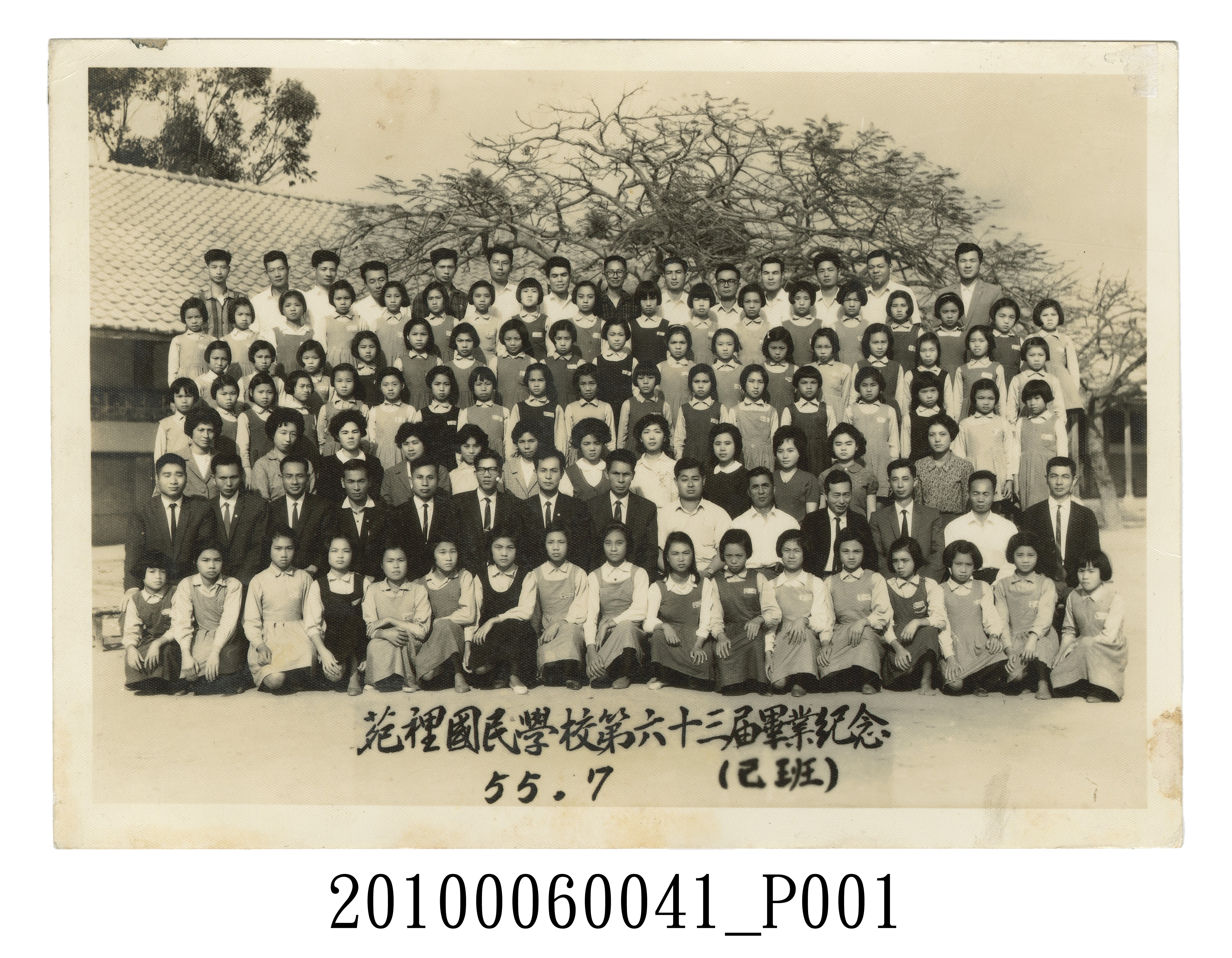 苗栗縣苑裡國民學校63屆畢業紀念照之己班 (共3張)