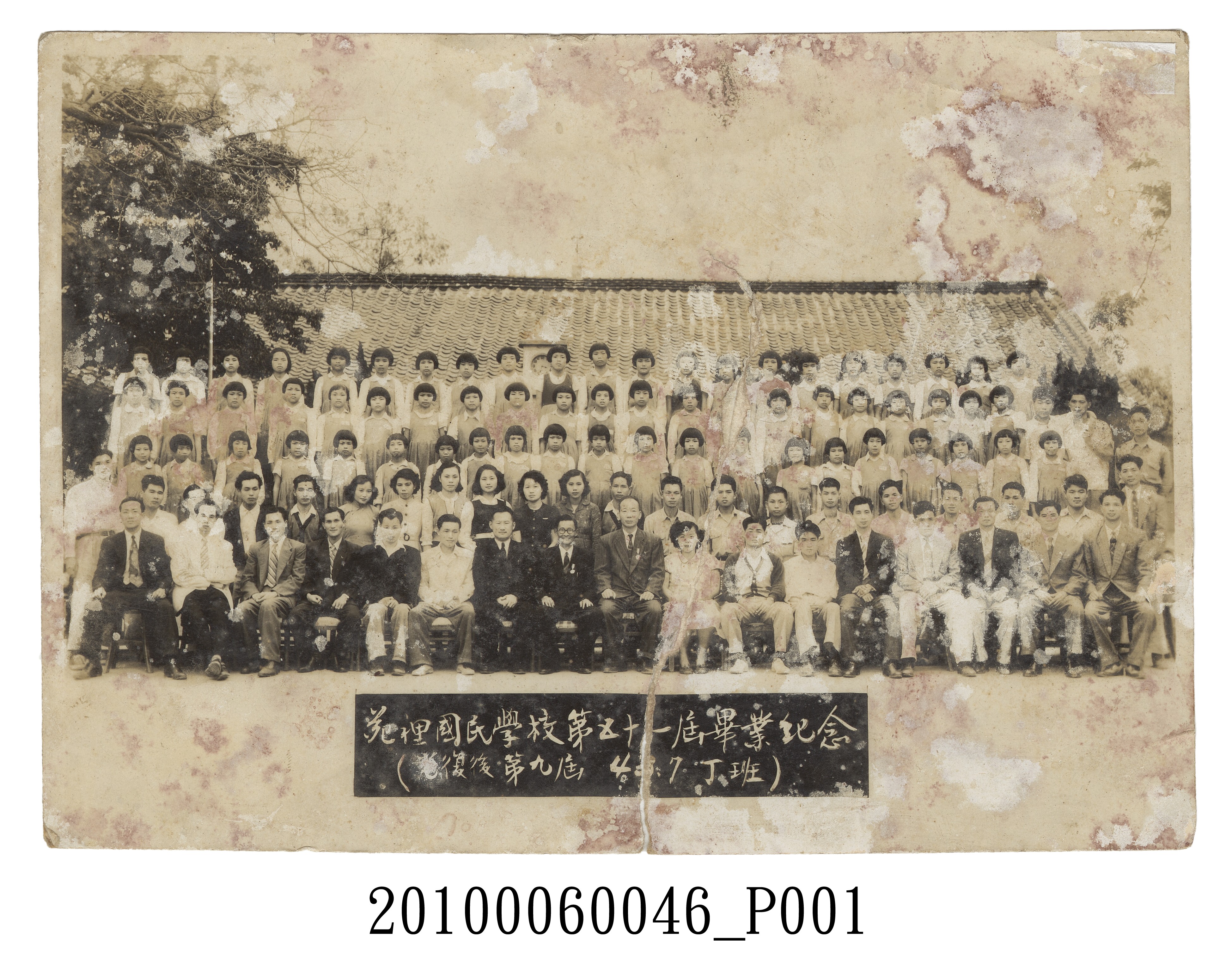 苗栗縣苑裡國民學校51屆畢業紀念照之丁班 (共3張)