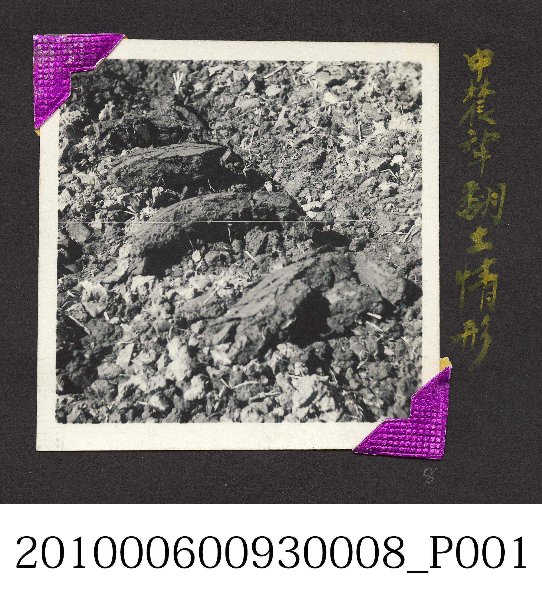 中農犁翻土情形 (共4張)