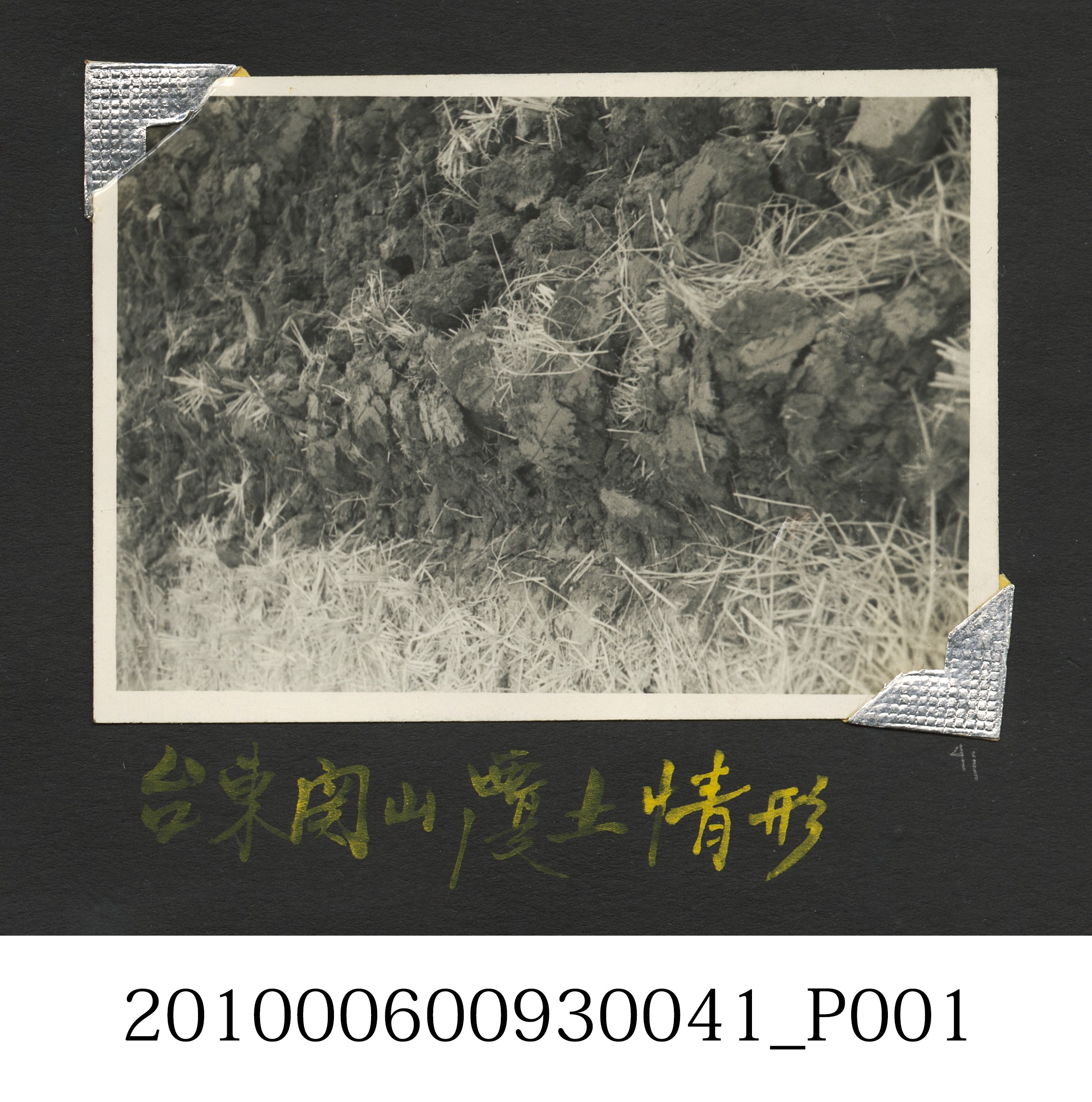 中農犁覆土情形 (共4張)