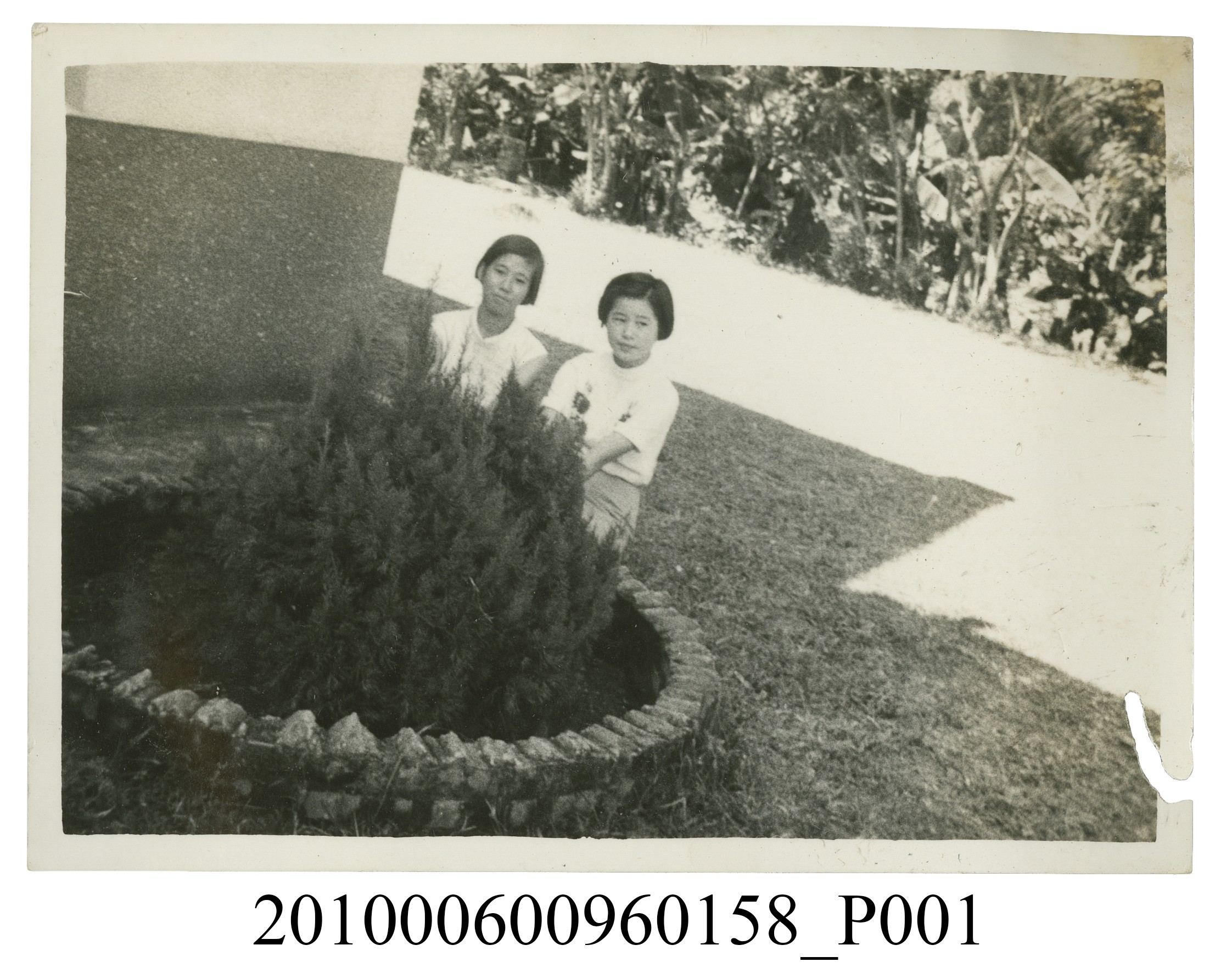 二位女子蹲在矮樹叢後合影之照片 (共2張)