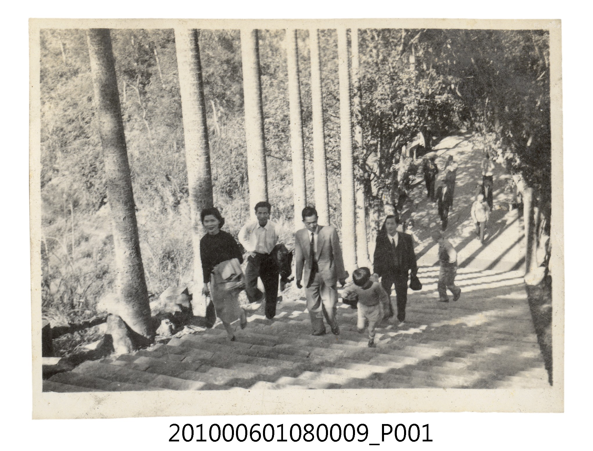 1960年2月曹靖子等人爬階梯剪影 (共2張)