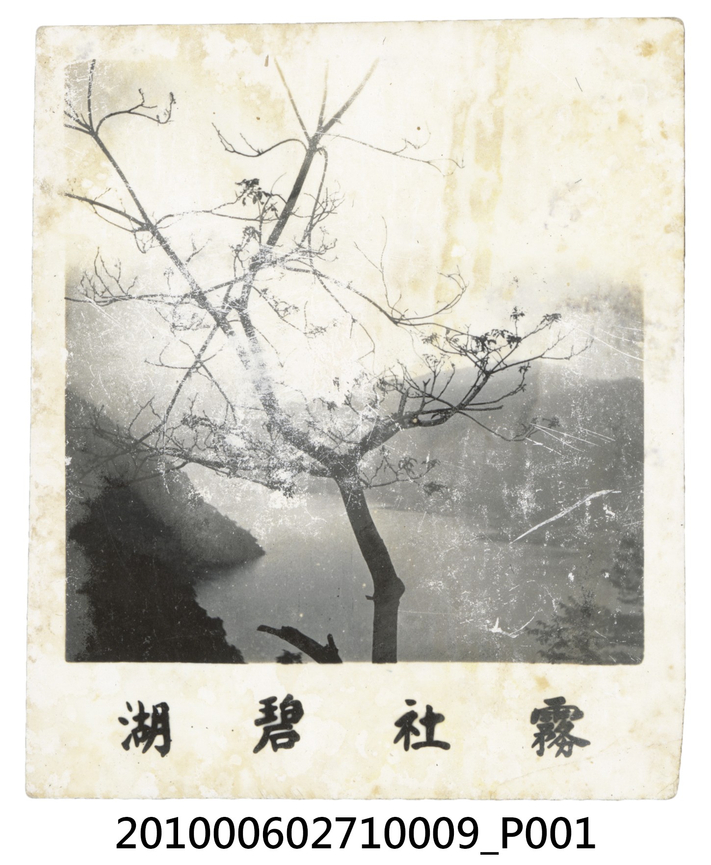 霧社碧湖 (共2張)